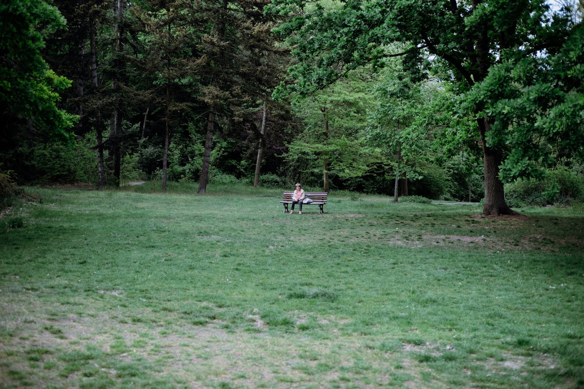 Park Berlin