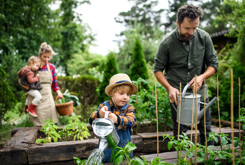 Kids in allotment