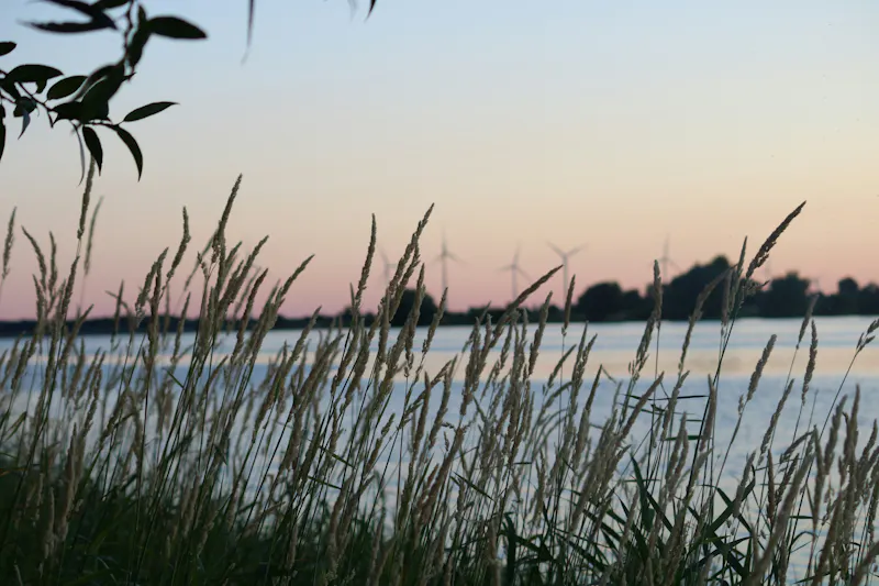Lake in Wedel