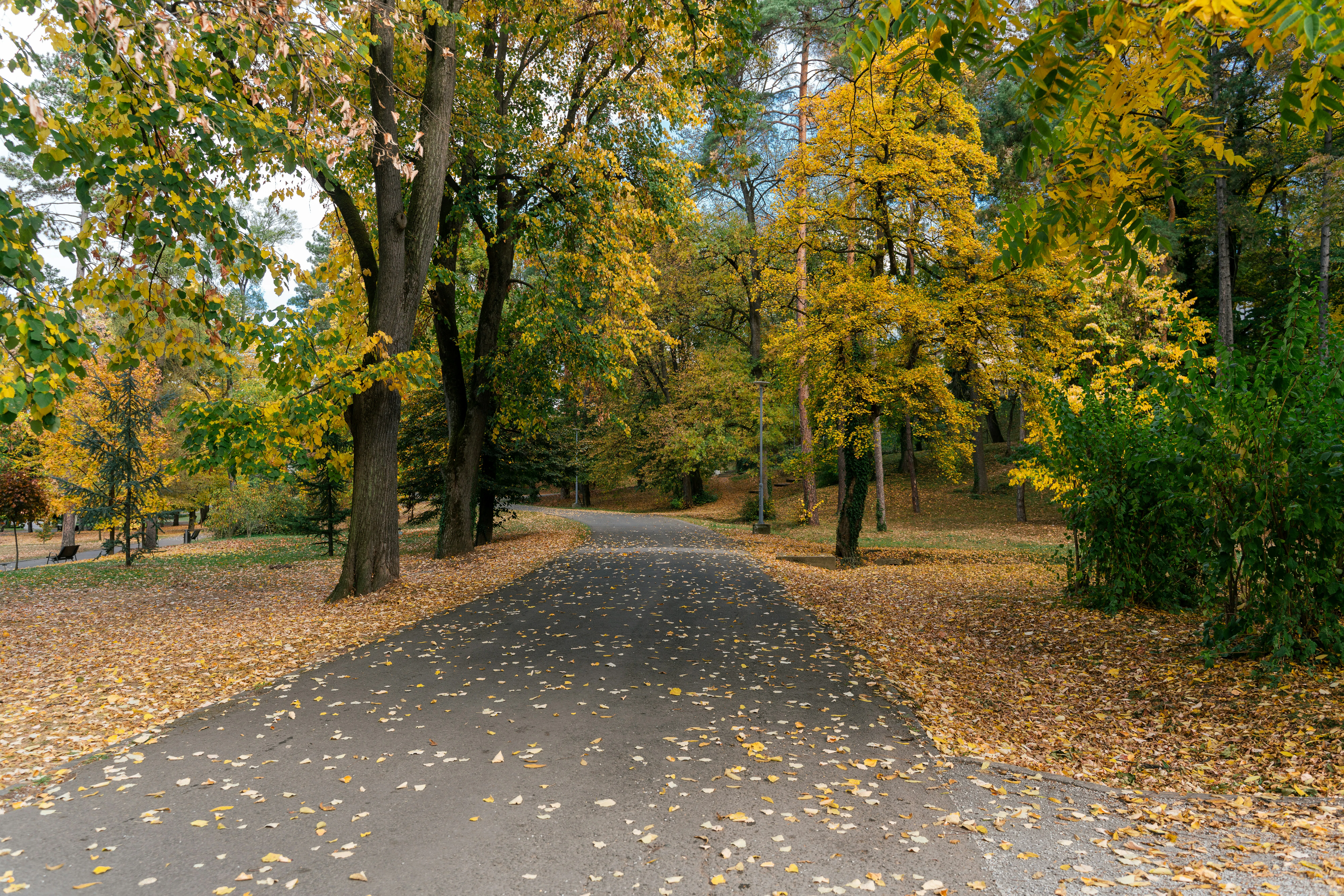 Nature gaarden