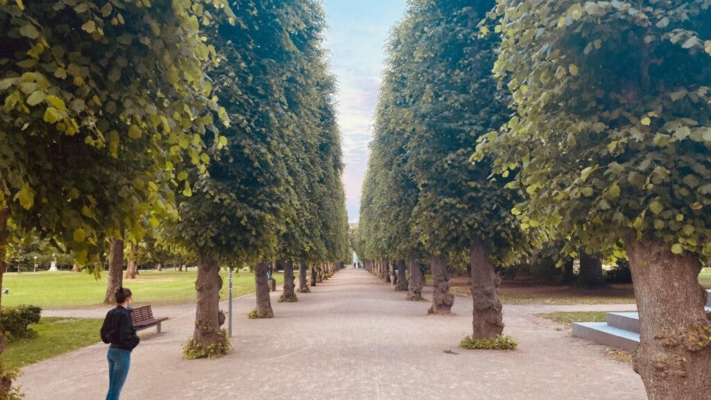 Tree park in Aablorg