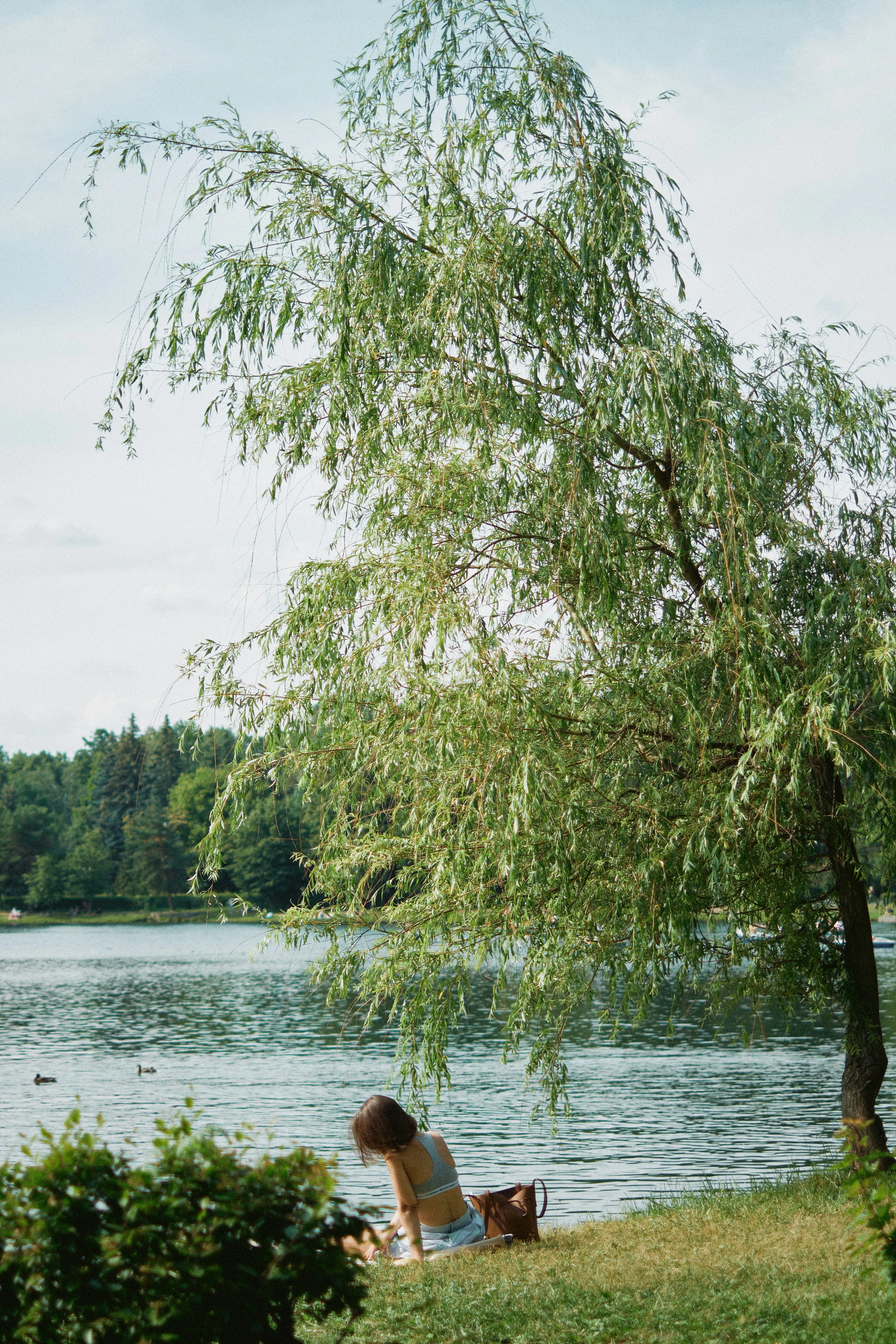 See in Lützen