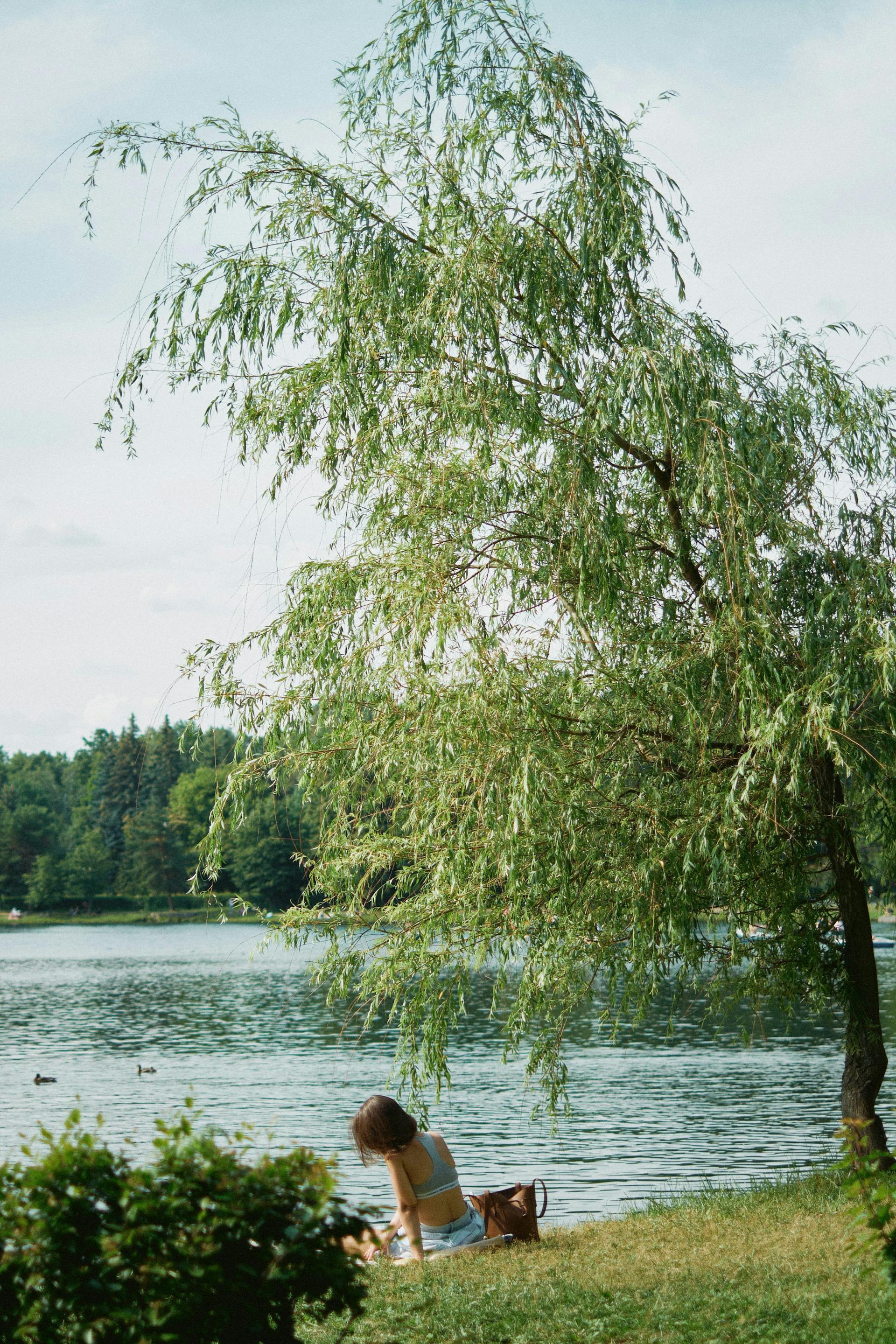 woman sitting at lake