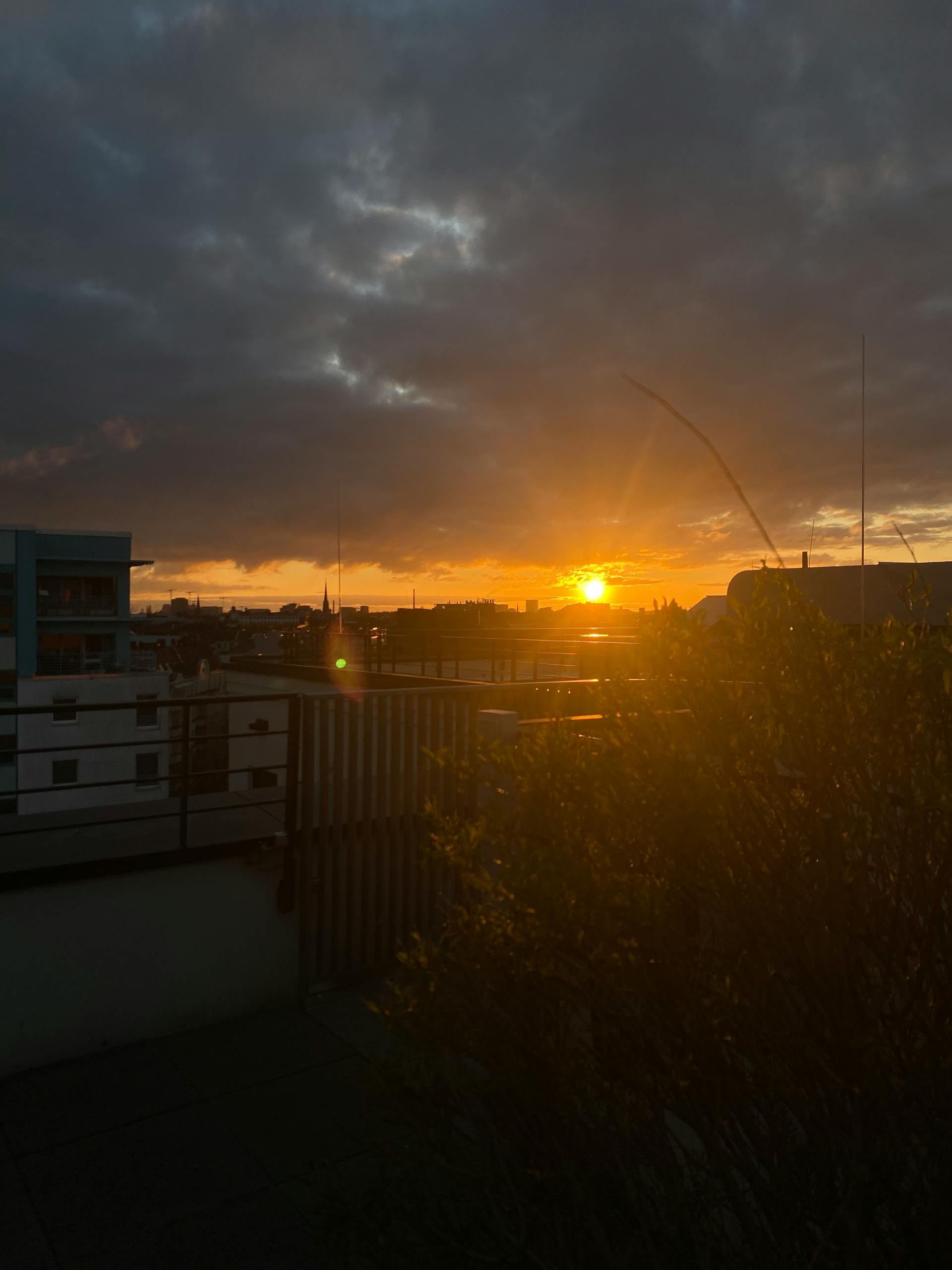 Sunrise Berlin