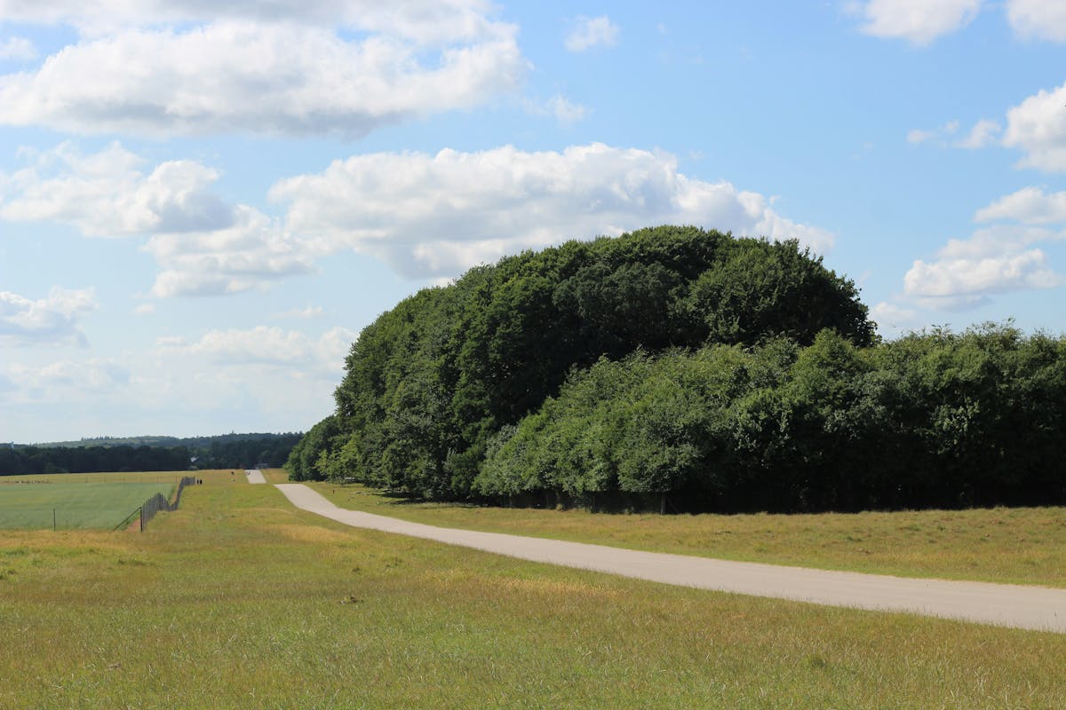 Smuk natur i østjylland