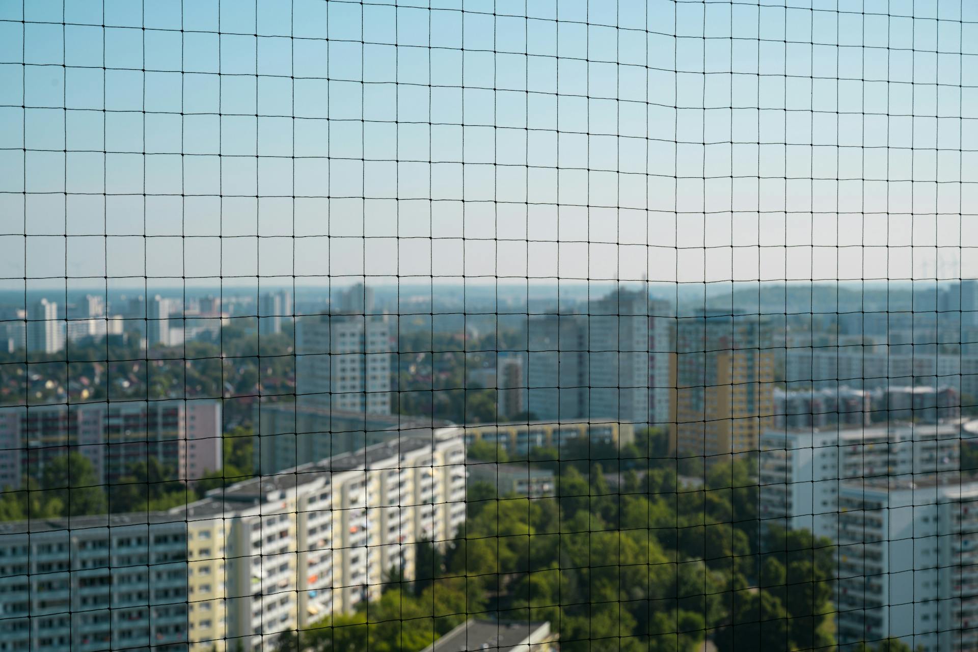 High ground view from a net