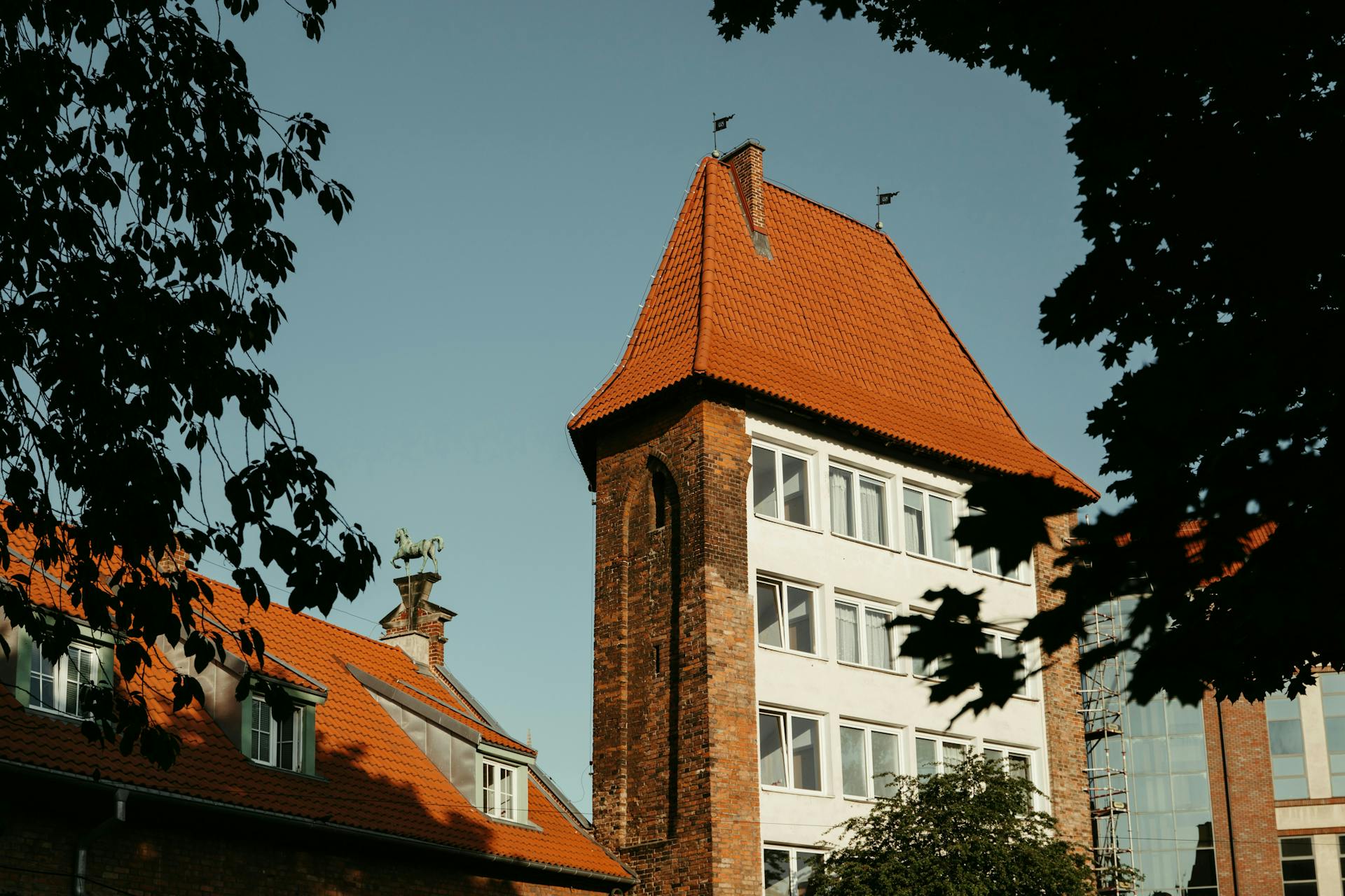Designed apartment