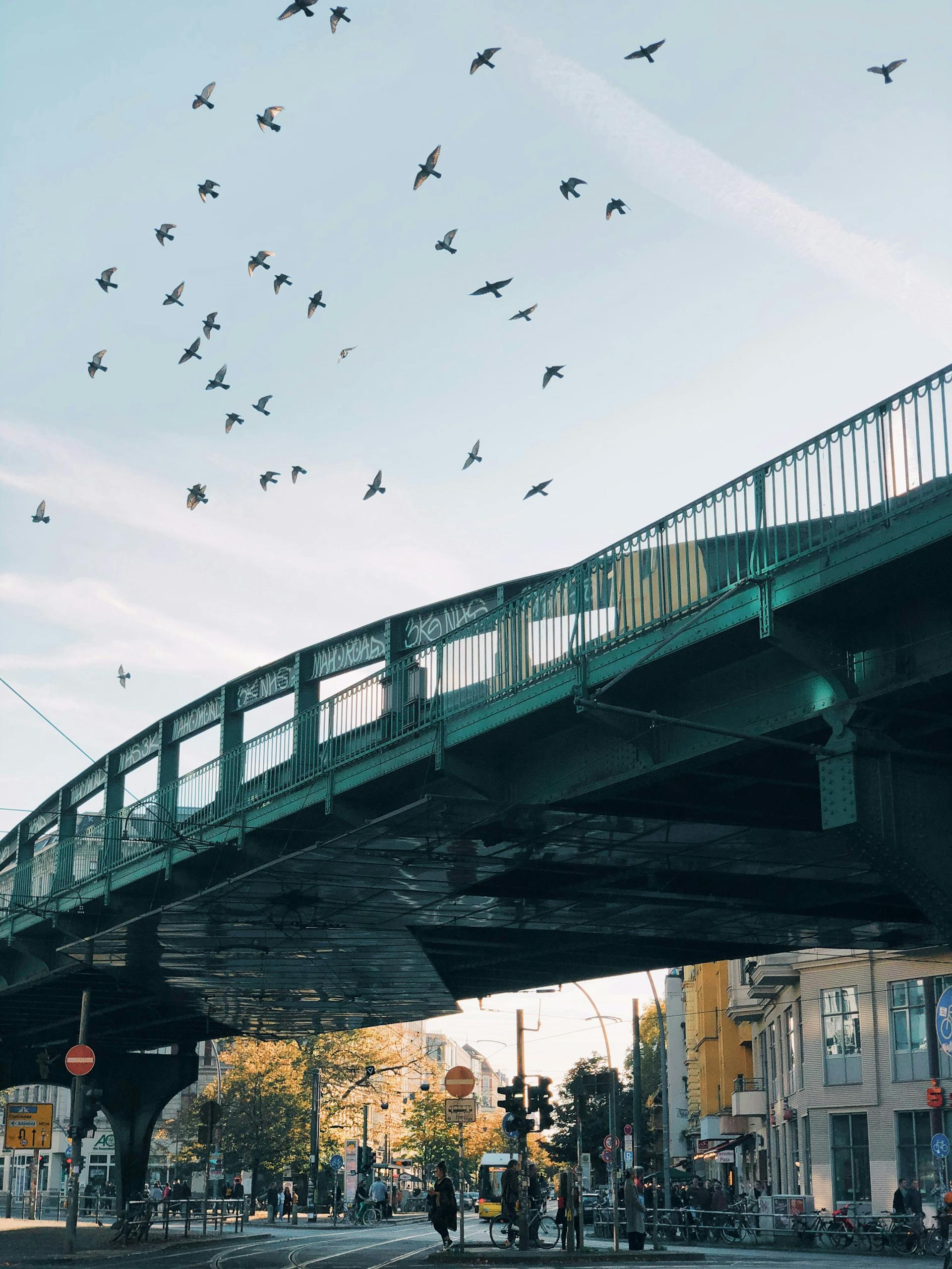 Bridge