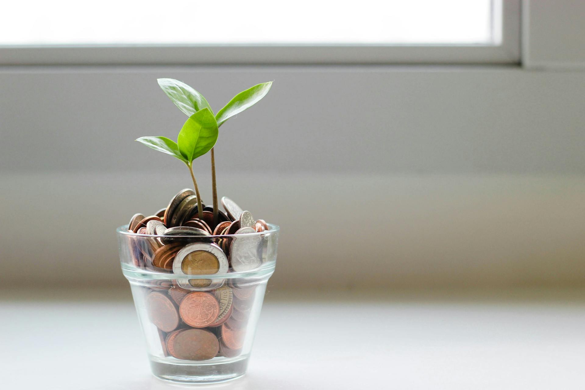 Budget tips