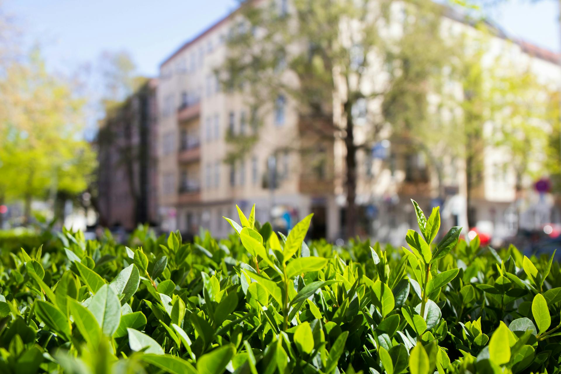Nature Charlottenburg-Wilmersdorf