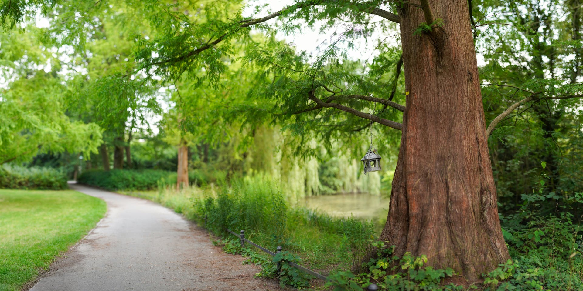 Natur Steglitz-Zehlendorf