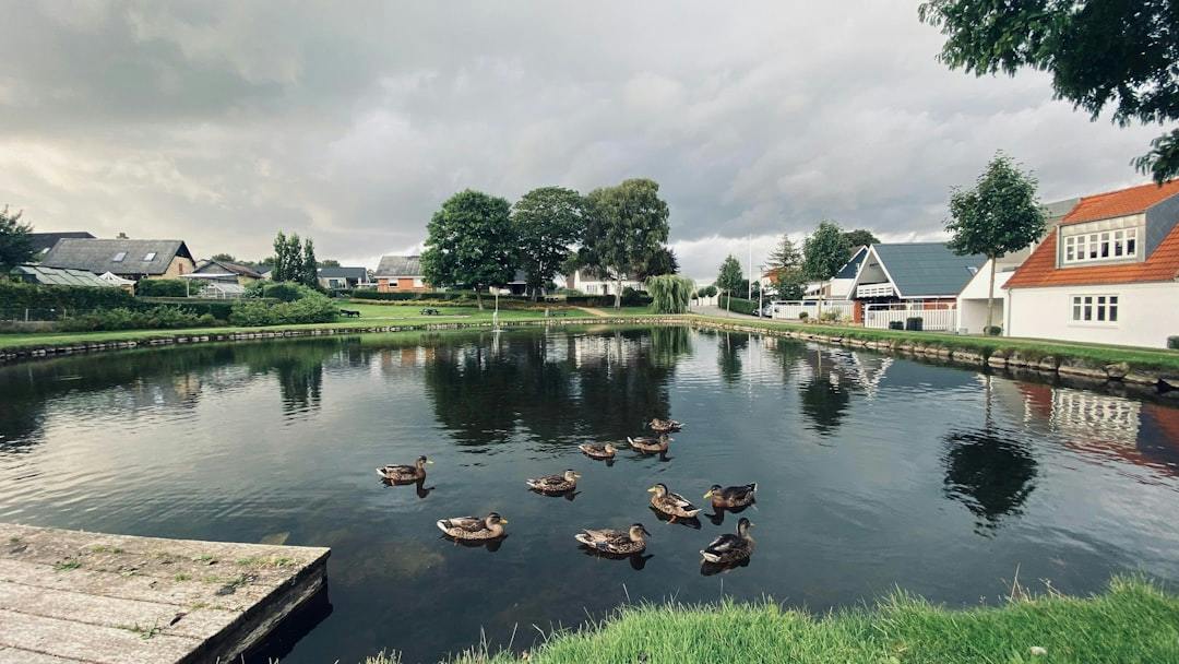 Aalborg SØ har postnummer 9210 og rummer blandt andet andelsboligforeningen Vissebakkegård. (Photo by Ma Fo on Unsplash)