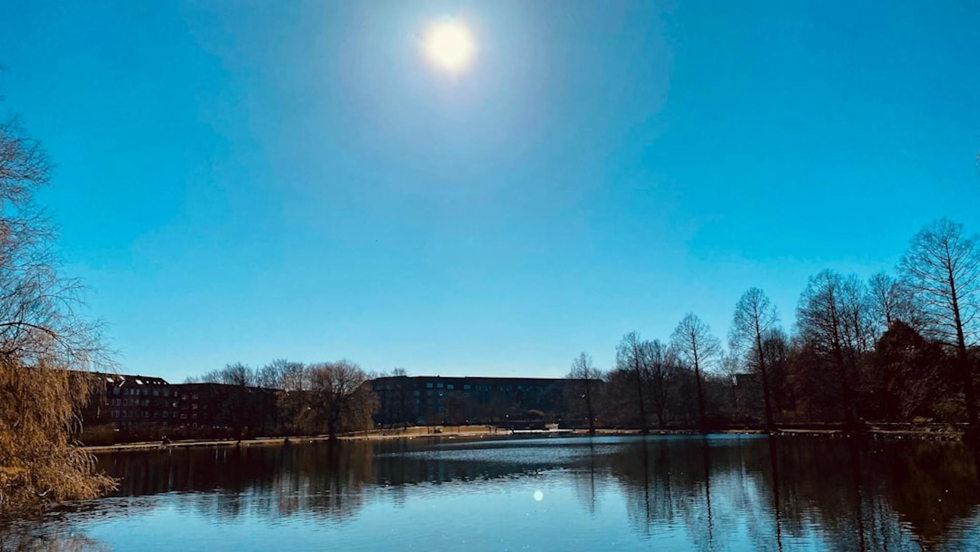 Aalborgs havnefront er en del af bymidten, ikke et yderkvarter. (Photo by Ma Fo on Unsplash)
