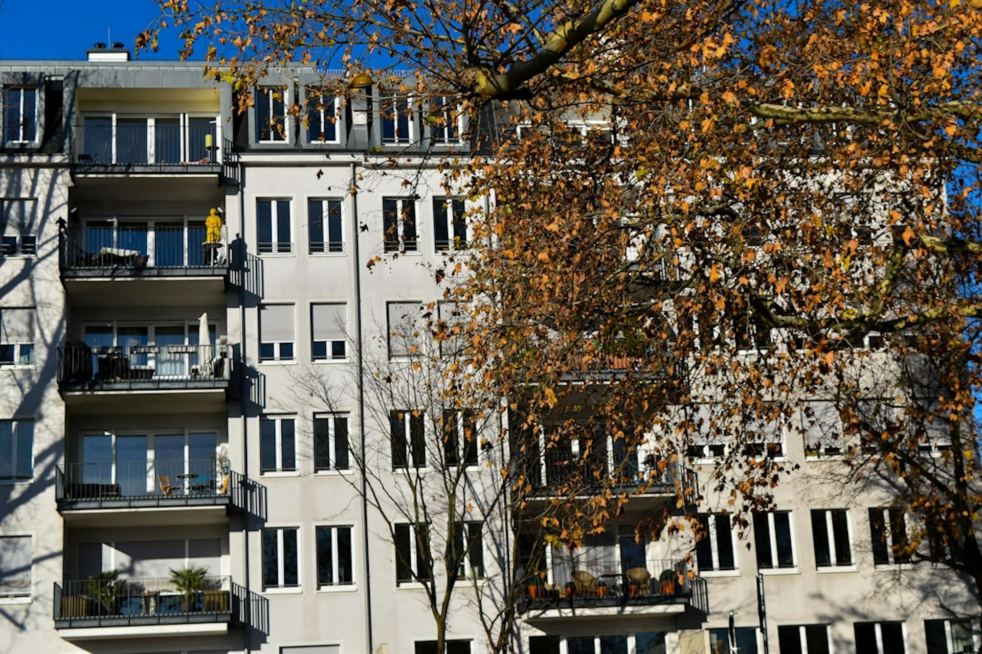 White apartment building with balconies behind an autumn tree with orange leaves.