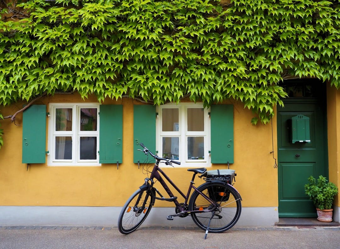 Yellow house facade with green shutters, covered in ivy, with a bicycle parked outside.