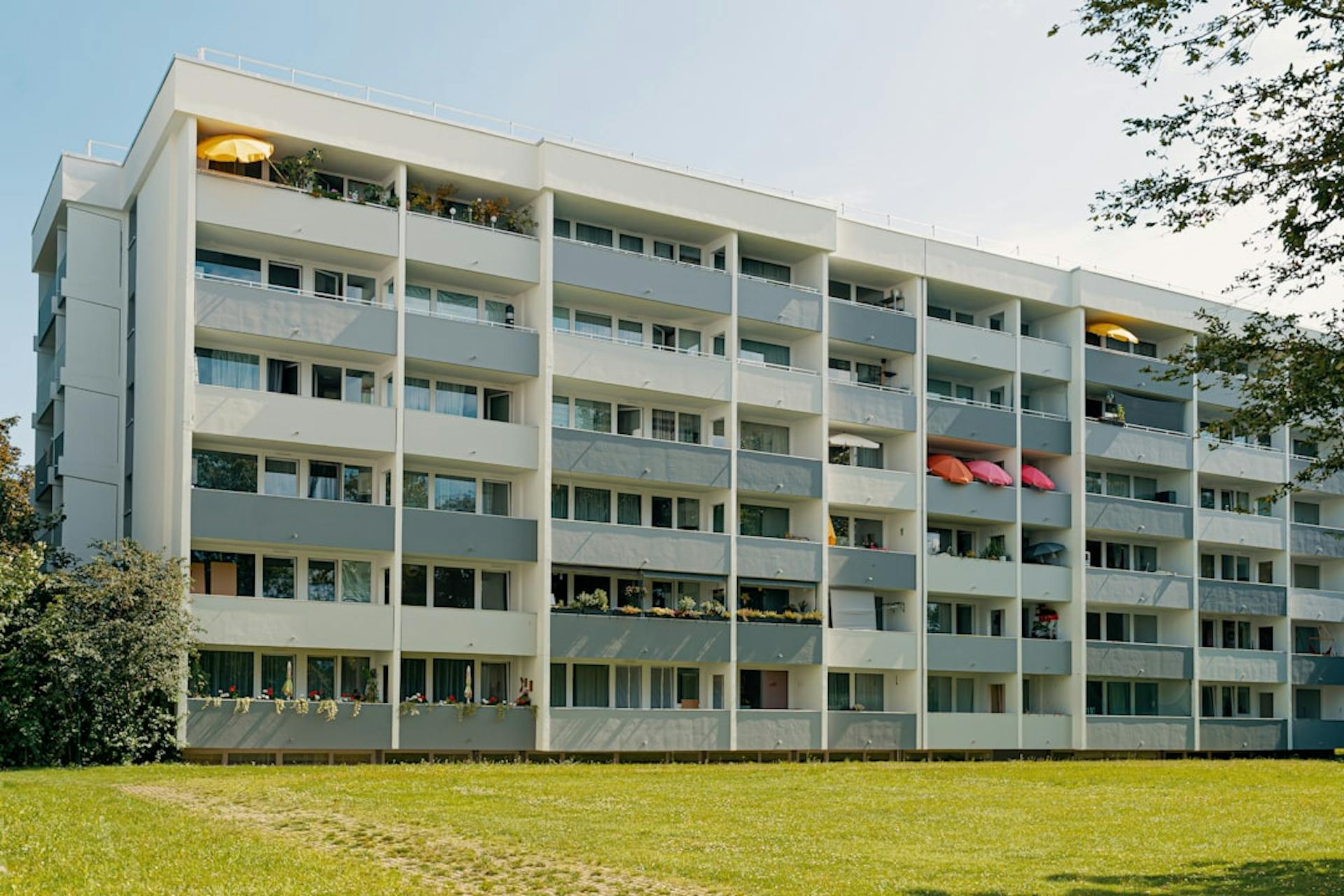 What a dorm room, a WG room, and a private apartment cost students in Germany, and… (Photo by Rafael Hoyos Weht on Unsplash)