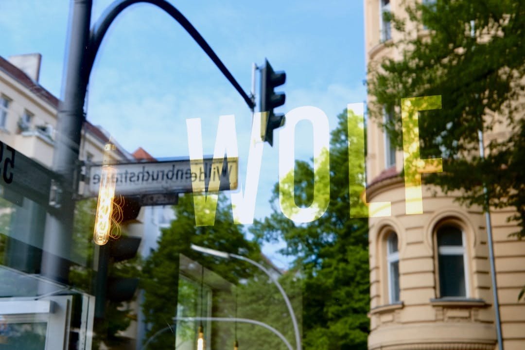 Explore markets, art, and local culture in Neukölln with Maybachufer, Heimathafen… (Photo by Louis Le Pessot on Unsplash)