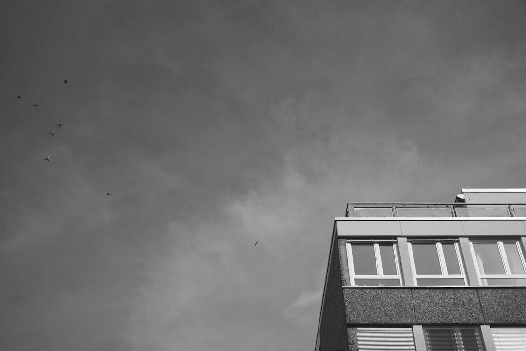 Mieten Sie eine Wohnung in West, Stuttgart, einem beliebten Viertel mit Charme. (Photo by Tim Schmidbauer on Unsplash)