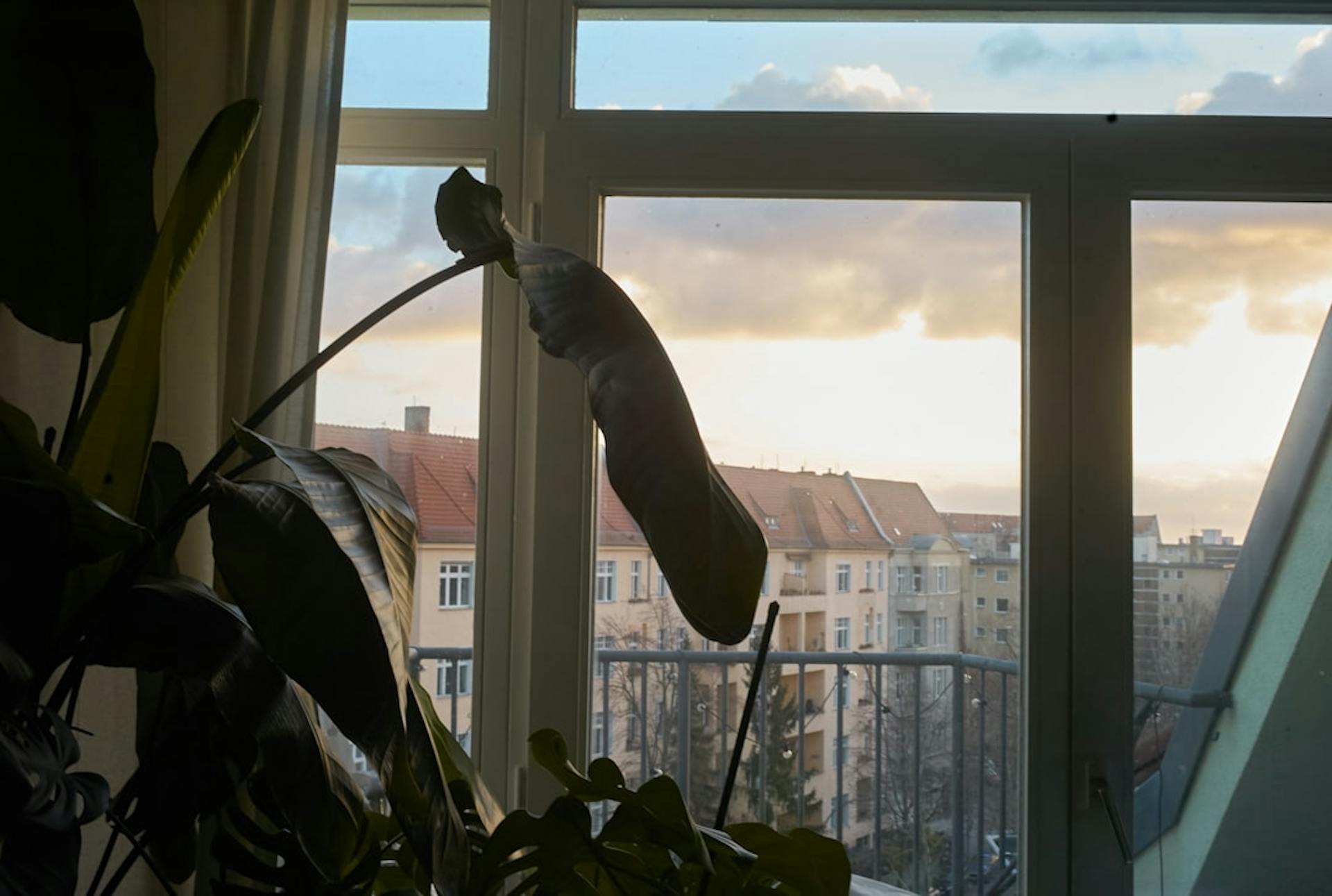 Learn to spot rental scams in Germany's cities. (Photo by Alan Alves on Unsplash)