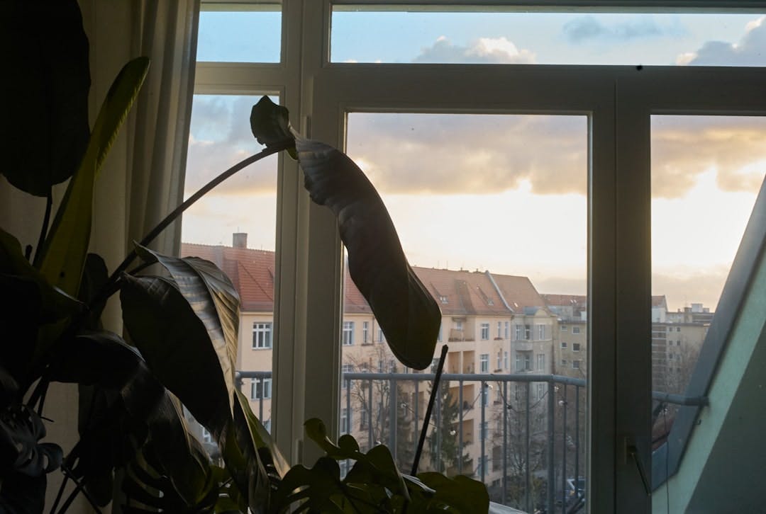 Learn to spot rental scams in Germany's cities. (Photo by Alan Alves on Unsplash)