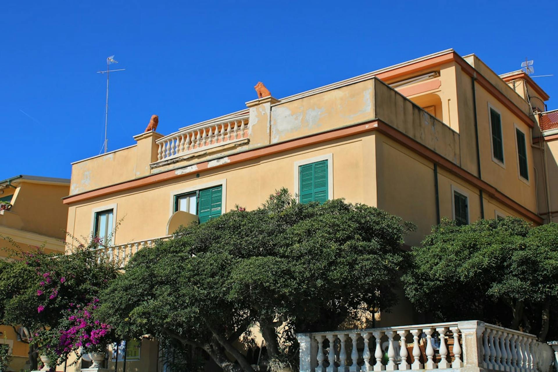 Ockerfarbene Villa mit grünen Fensterläden und einer Balustrade hinter blühenden Bäumen.