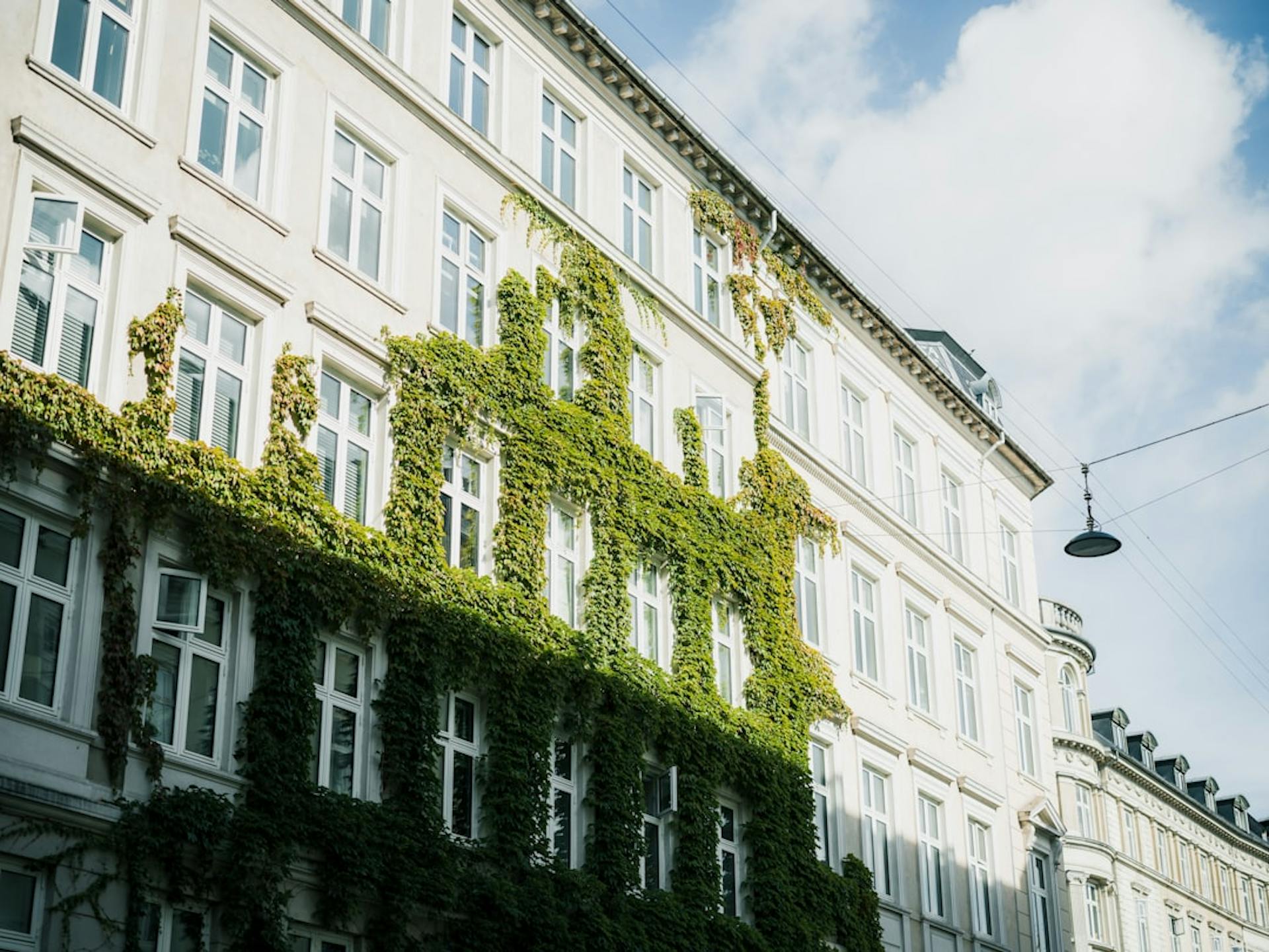 Leder du efter en 3-værelses lejlighed på Frederiksberg? (Photo by Yohan Marion on Unsplash)