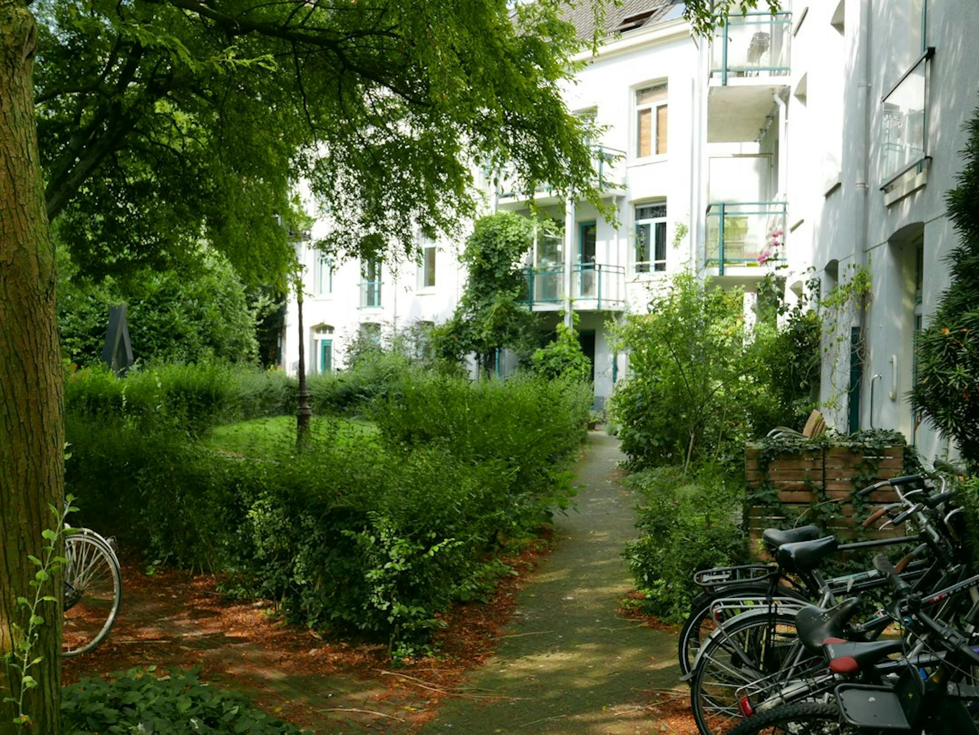 Green courtyard garden with bicycles beside an old white apartment building (Photo by Fons Heijnsbroek on Unsplash)