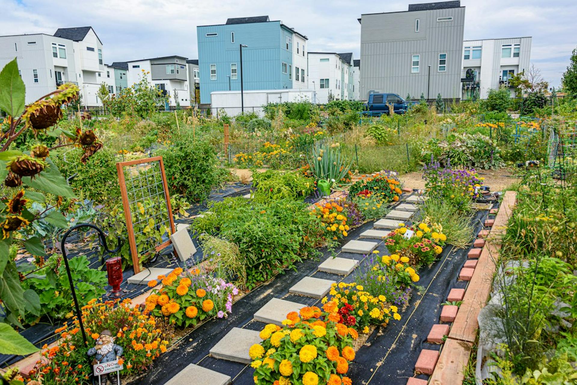 Community garden with flower beds in front of new houses (Photo by Steve Adams on Unsplash)