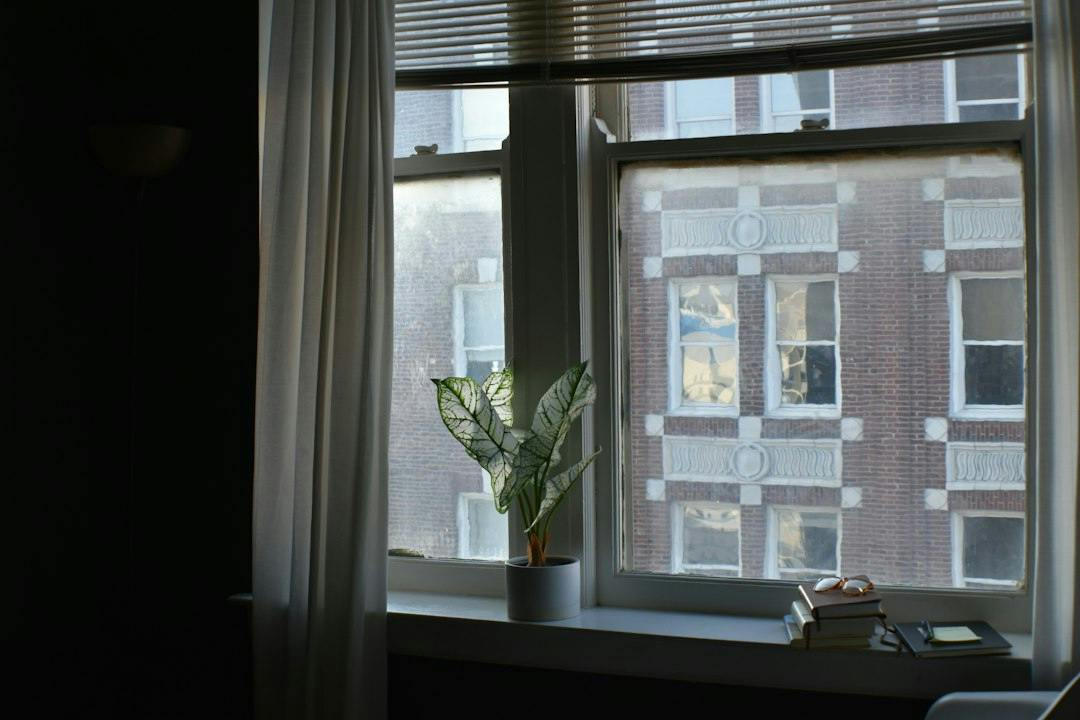Potteplante i en vindueskarm i en dunkel lejlighed (Photo by Lesli Whitecotton on Unsplash)