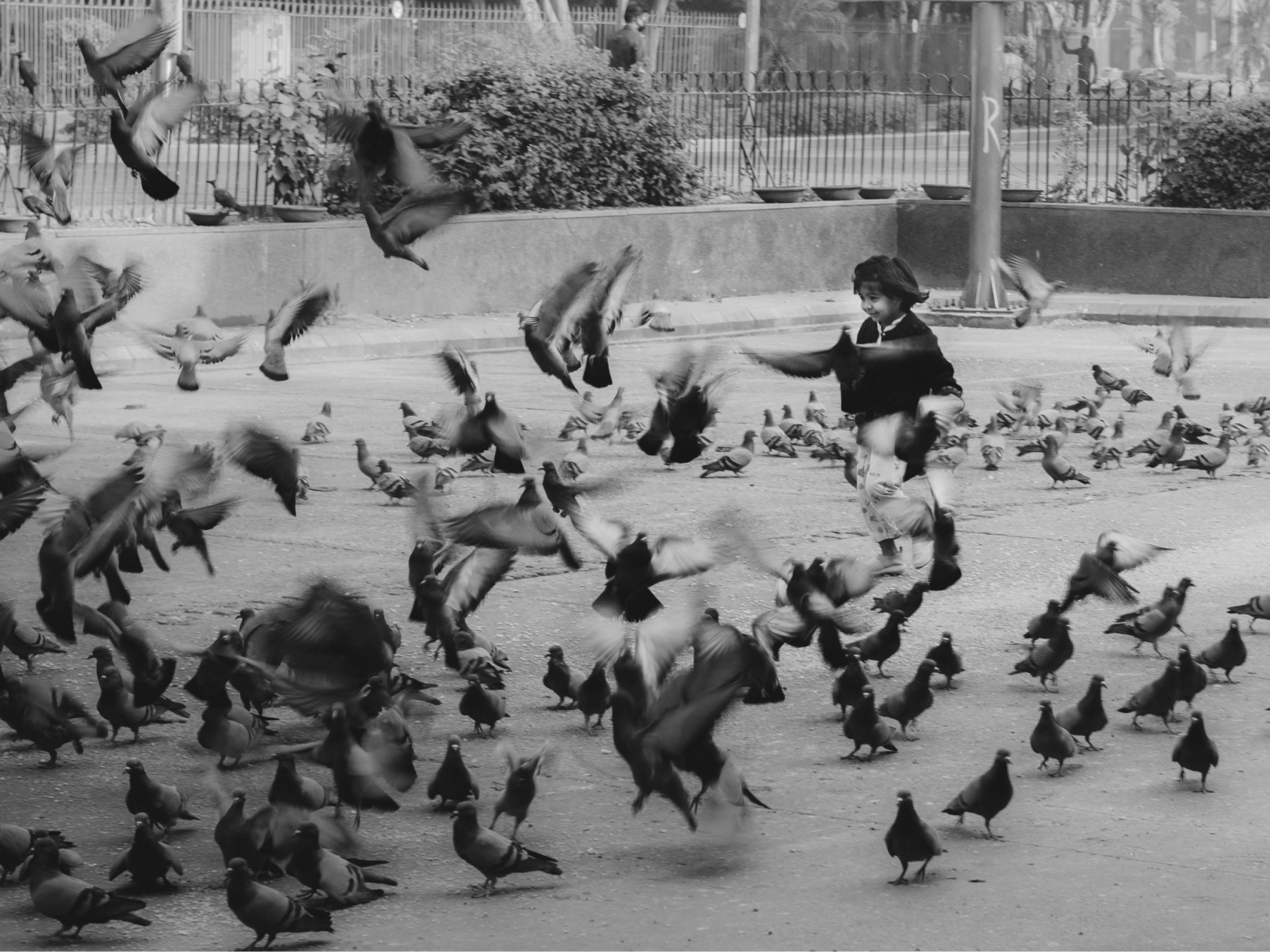 Črno bela fotografija golobov in dečka, ki teče med njimi. Avtor: Pramod Tiwari (unsplash)