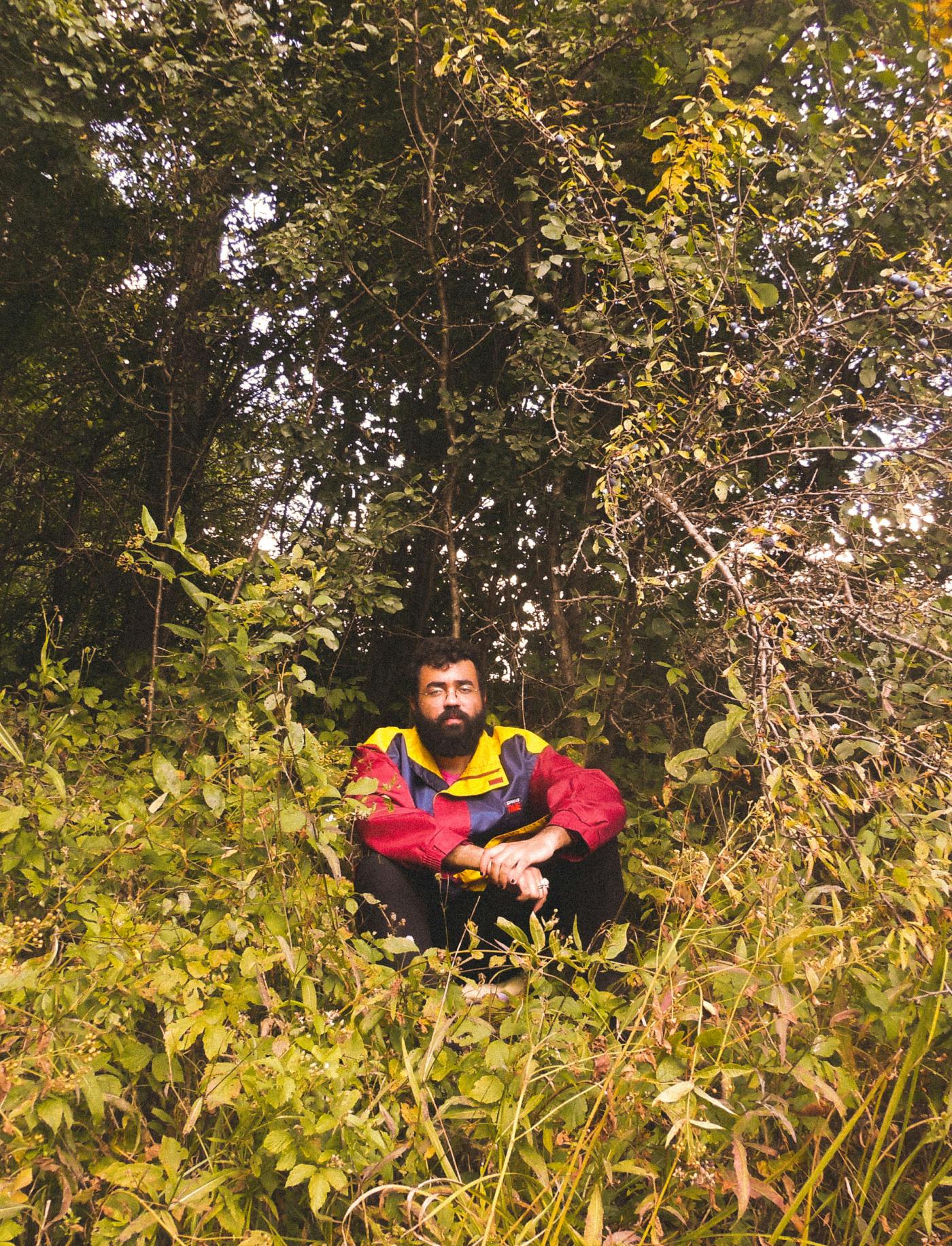 Tschimy sedi med drevesi