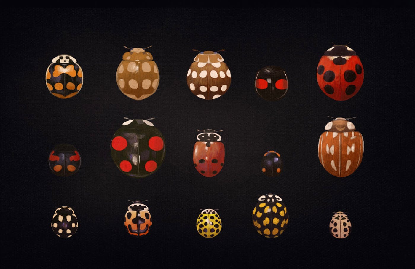 Ilustracija pikapolonic na črni podlagi