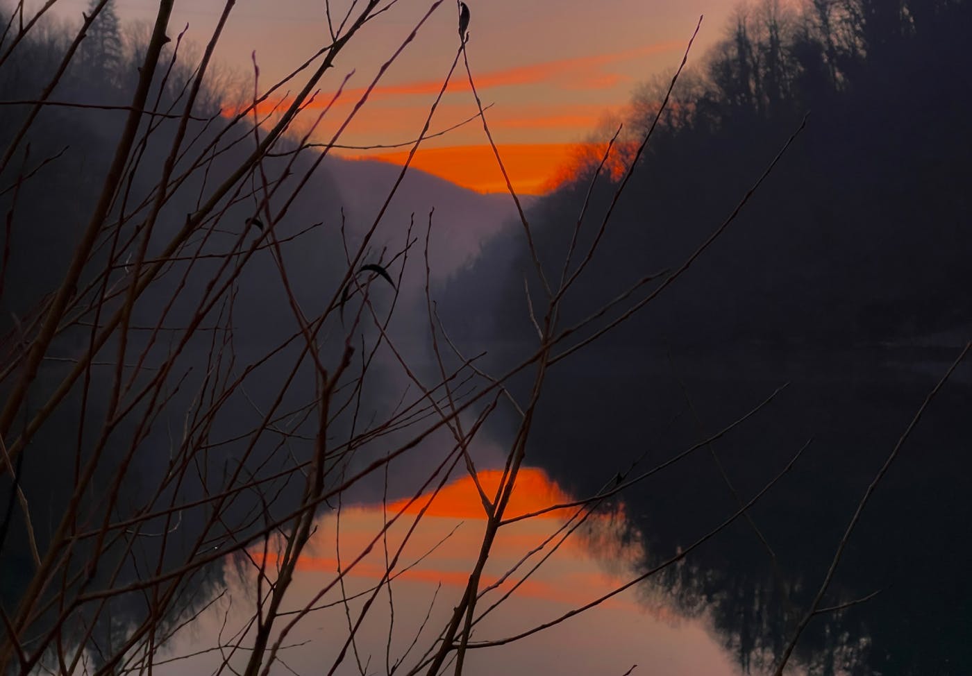 Fotografija sončnega zahoda nad reko, v ospredju so veje drevesa