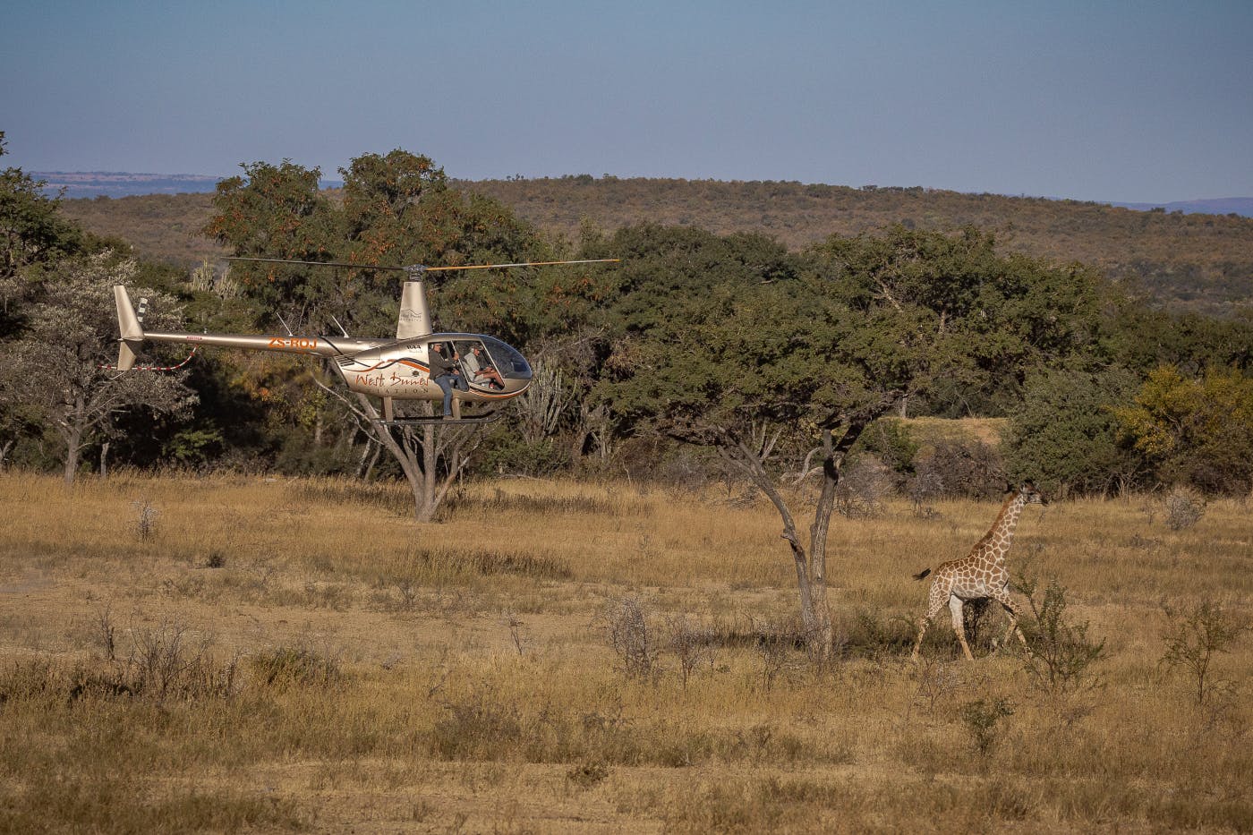 Helikopter, ki se podi za žirafo