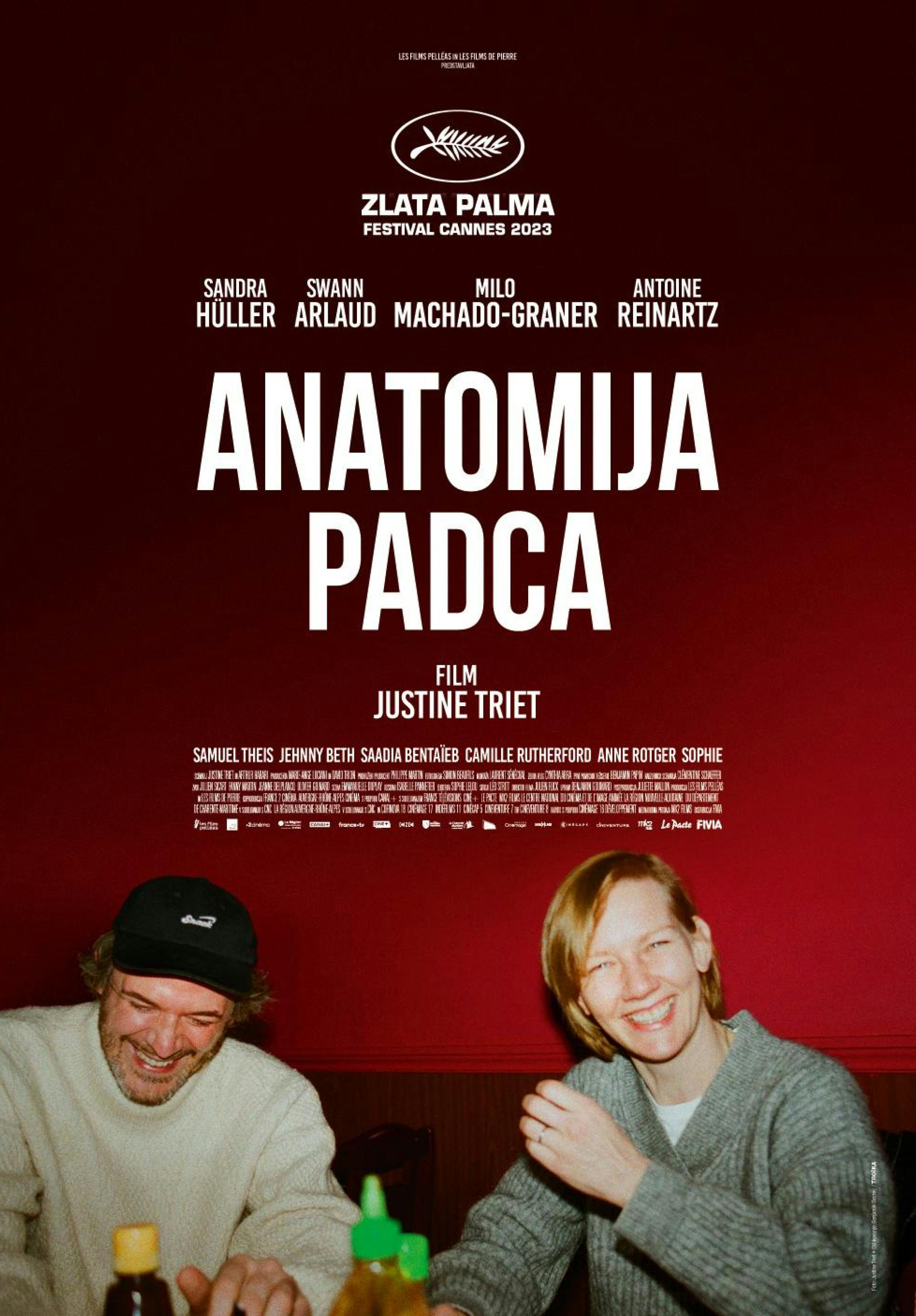 poster Anatomija padca