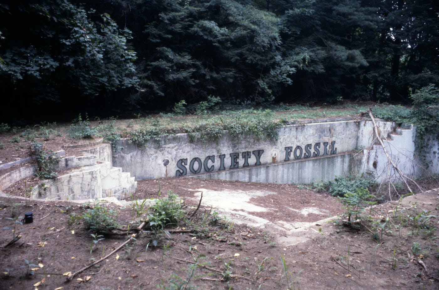 Fotografija grafita z napisom Society fossil