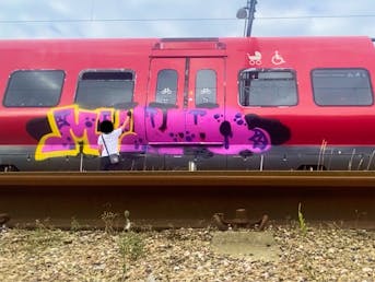 Cenzuriran moški, ki grafitira vlak