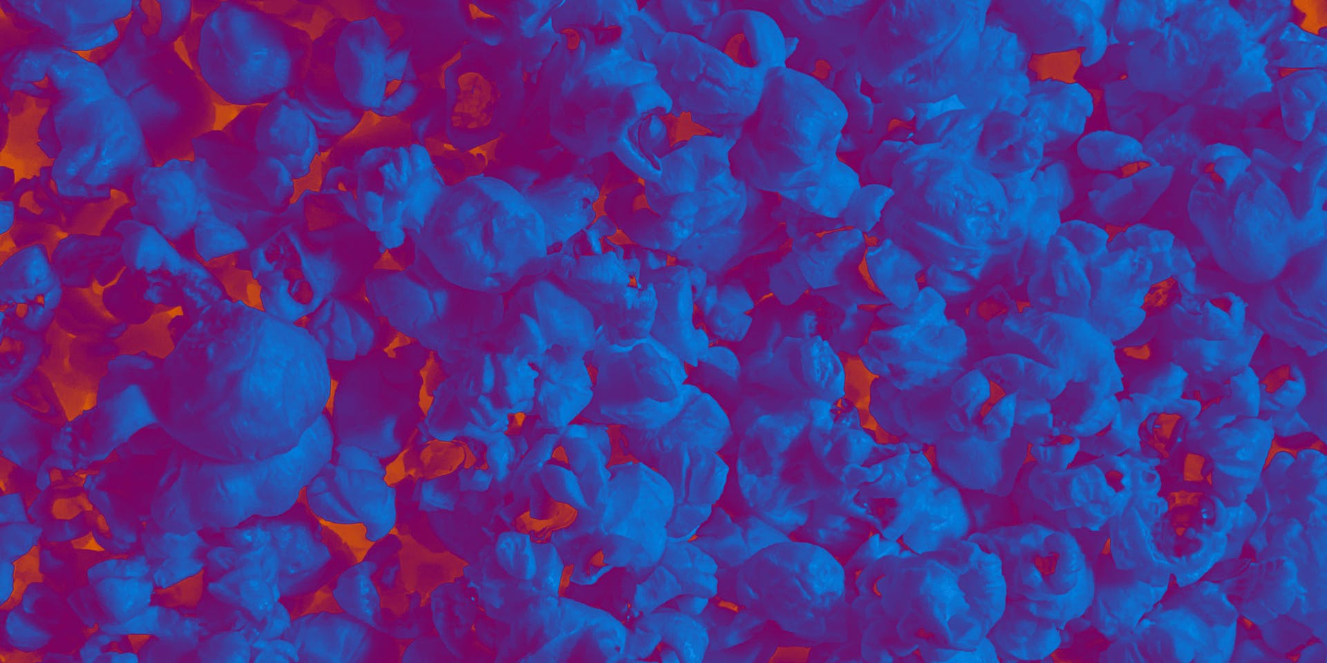 Saturirana fotografija pokovke