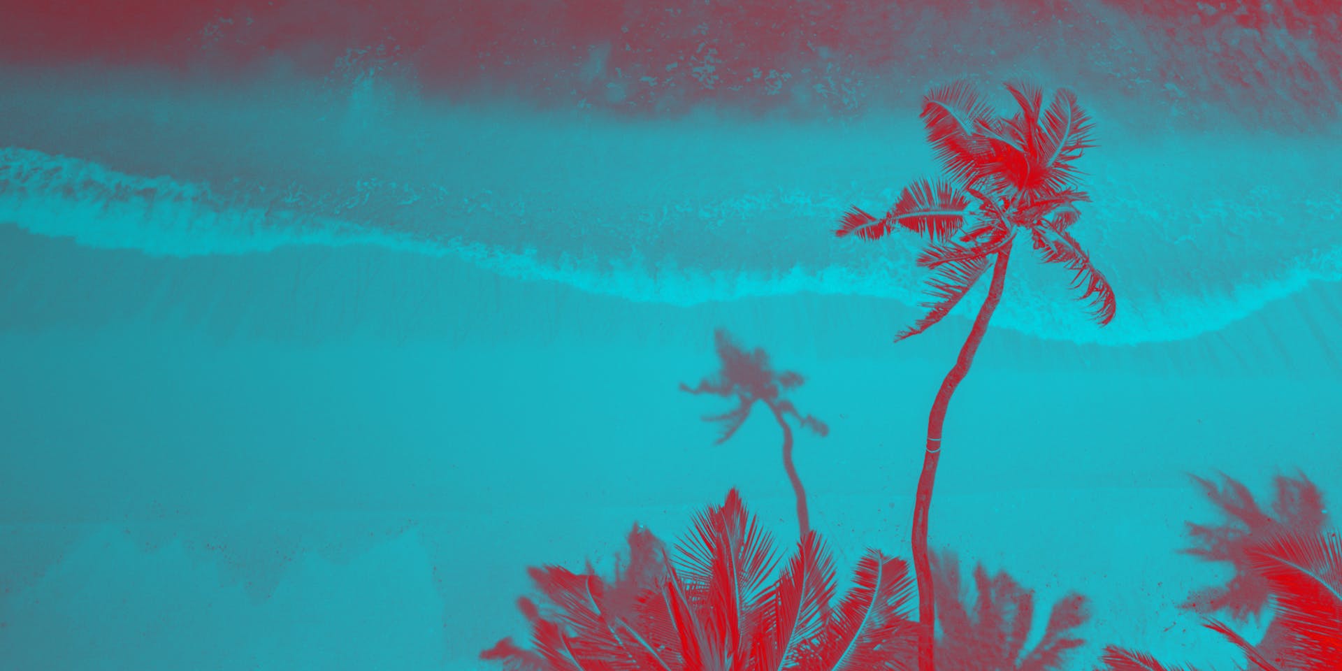 Saturirana fotografija palm in plaže