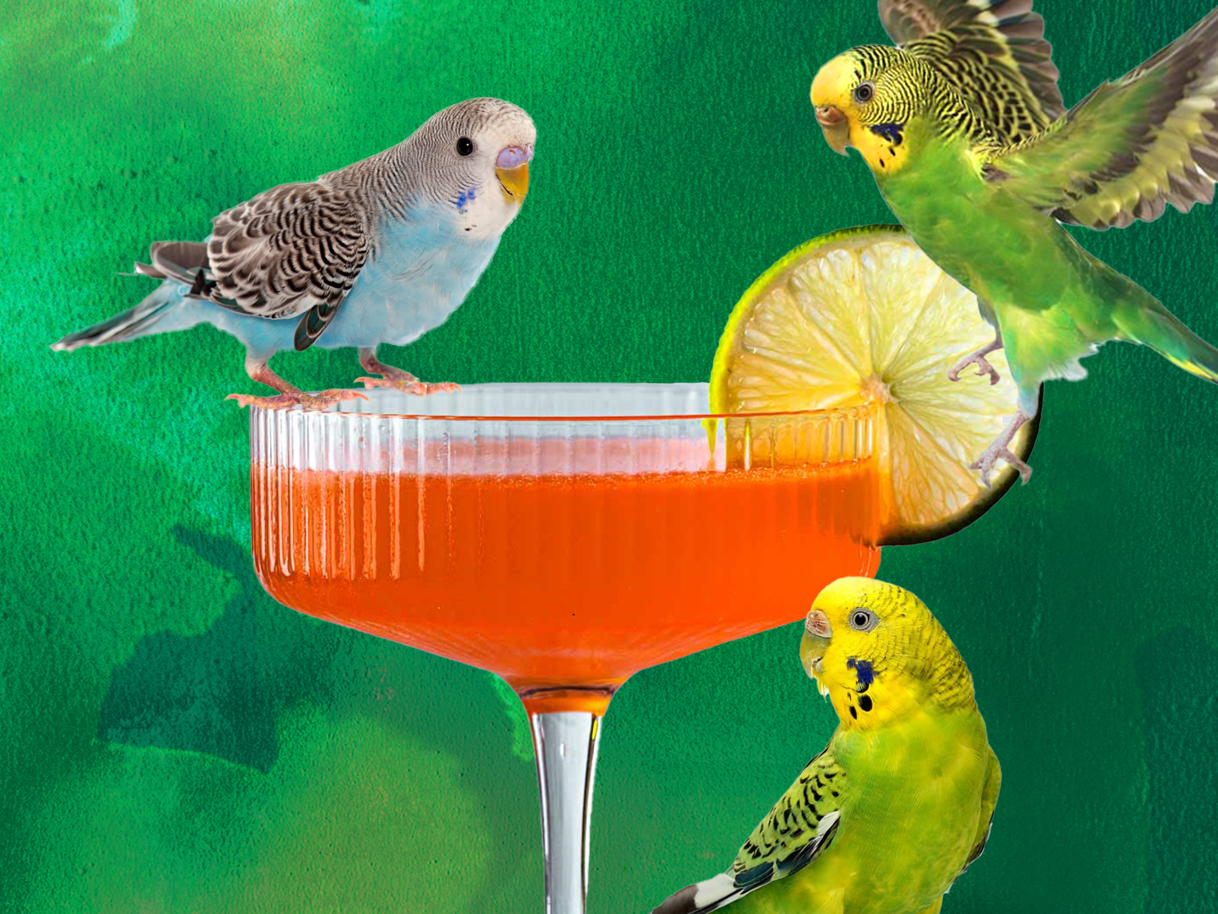 Koktejl NAKED & FAMEOUS