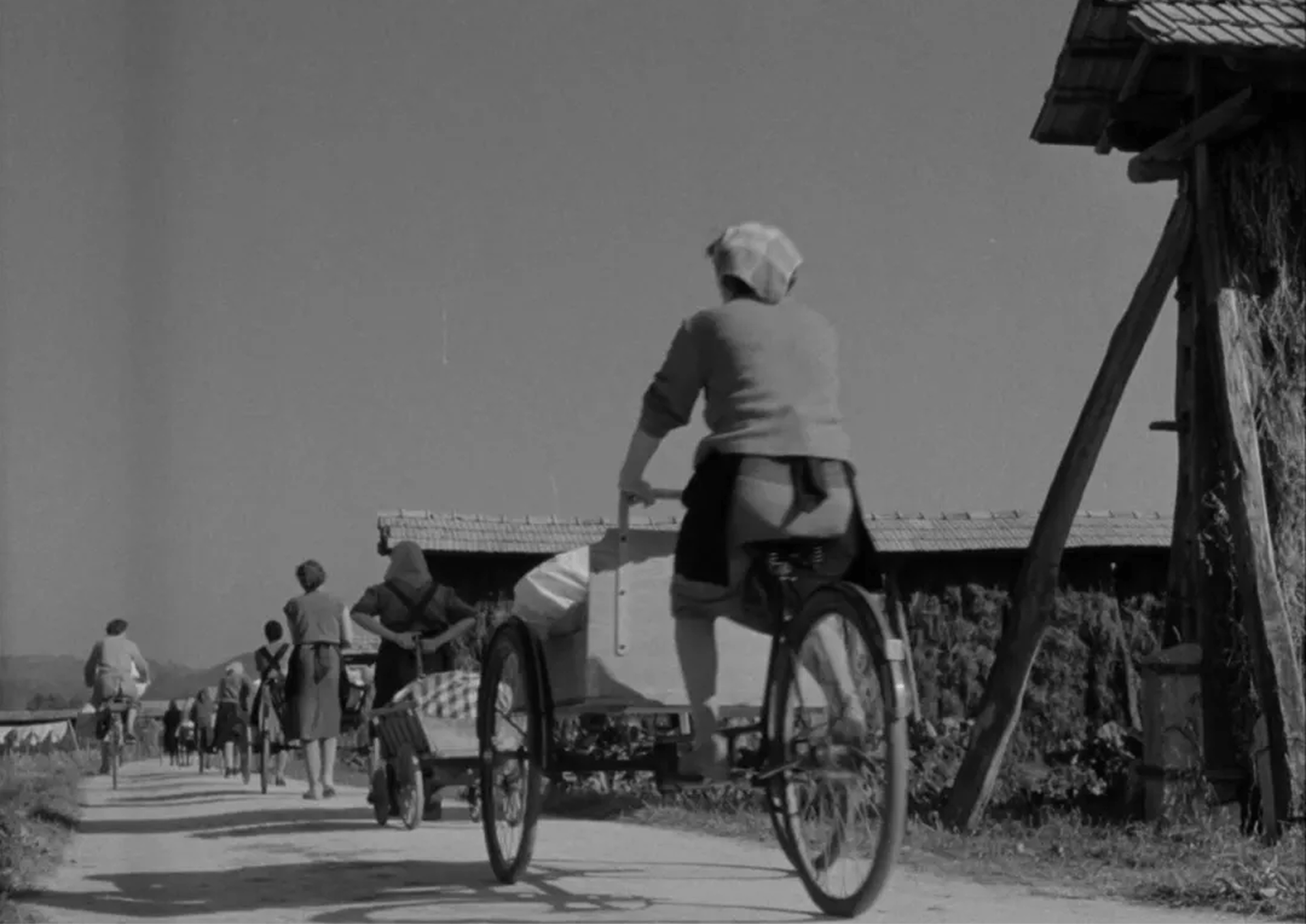 Kader iz filma Bizoviške perice