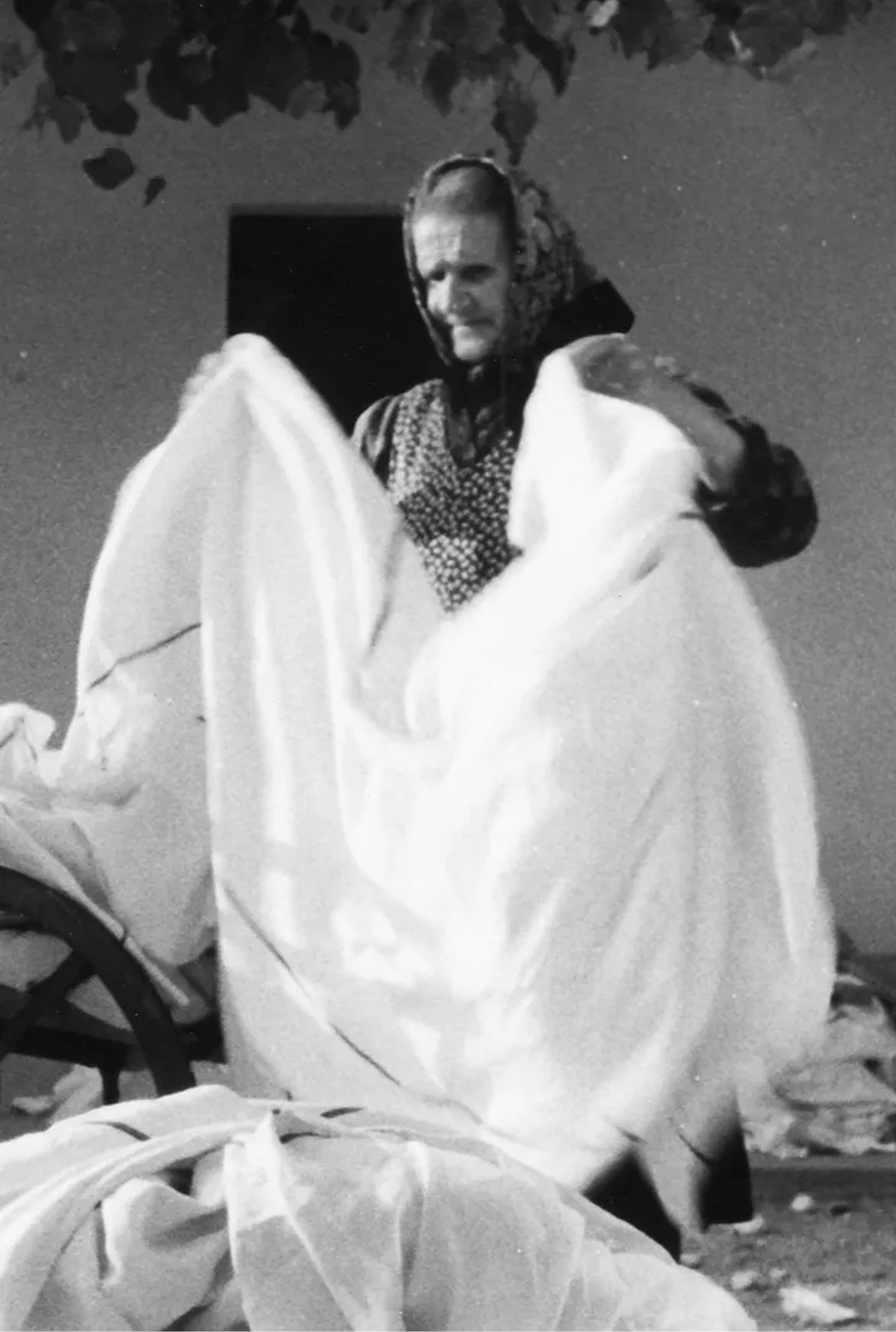 Kader iz filma Bizoviške perice