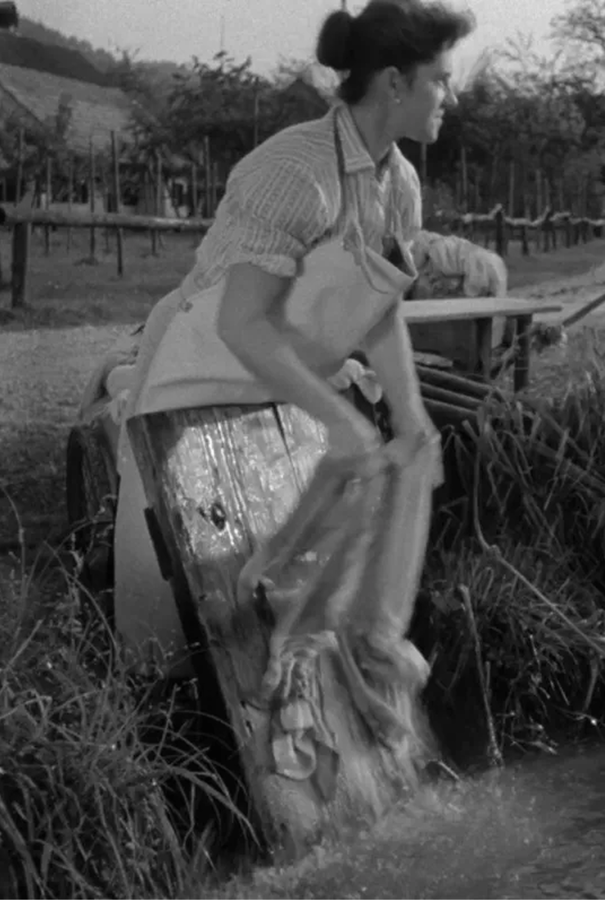 Kader iz filma Bizoviške perice