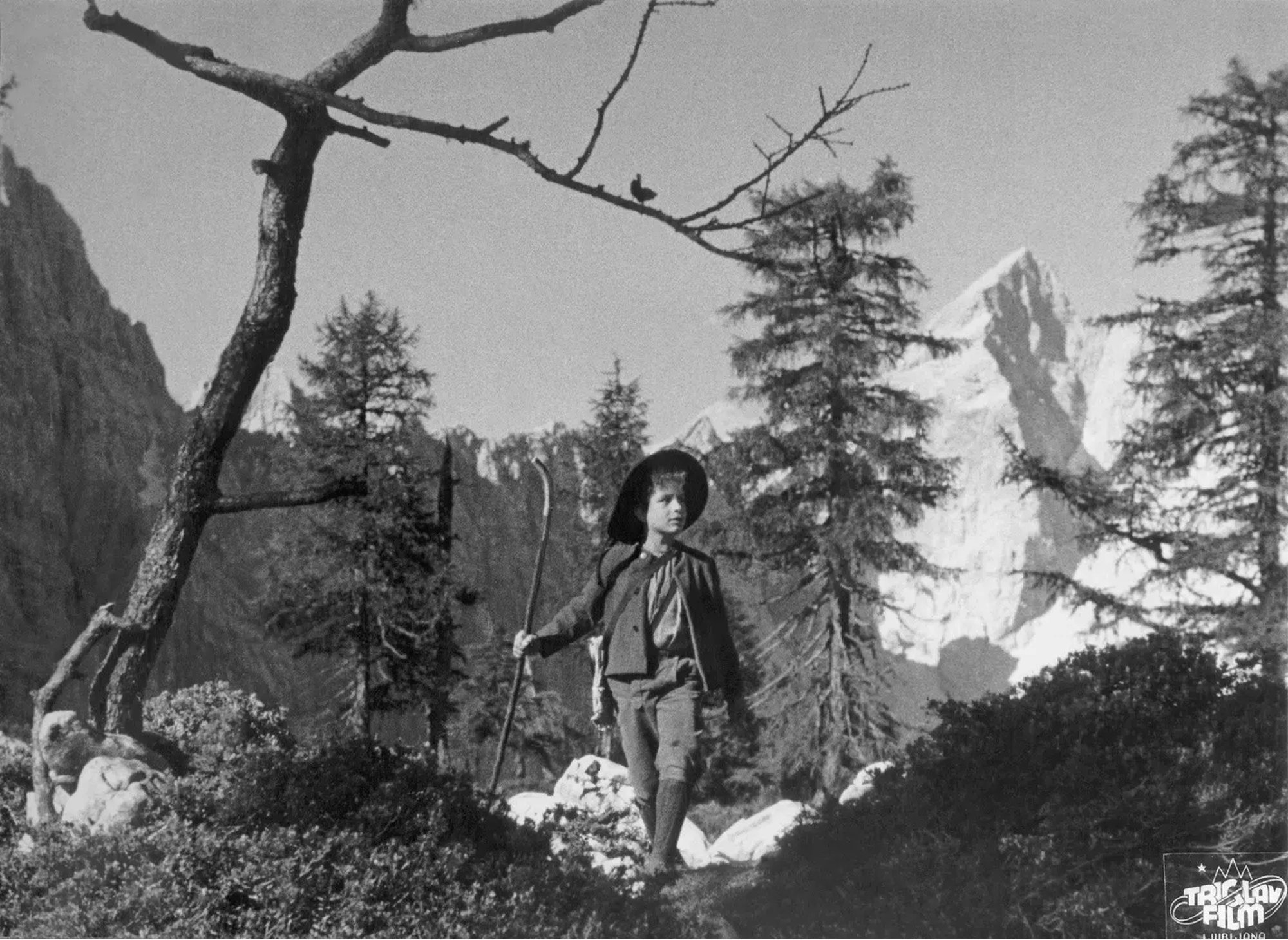 Kader iz filma Kekec