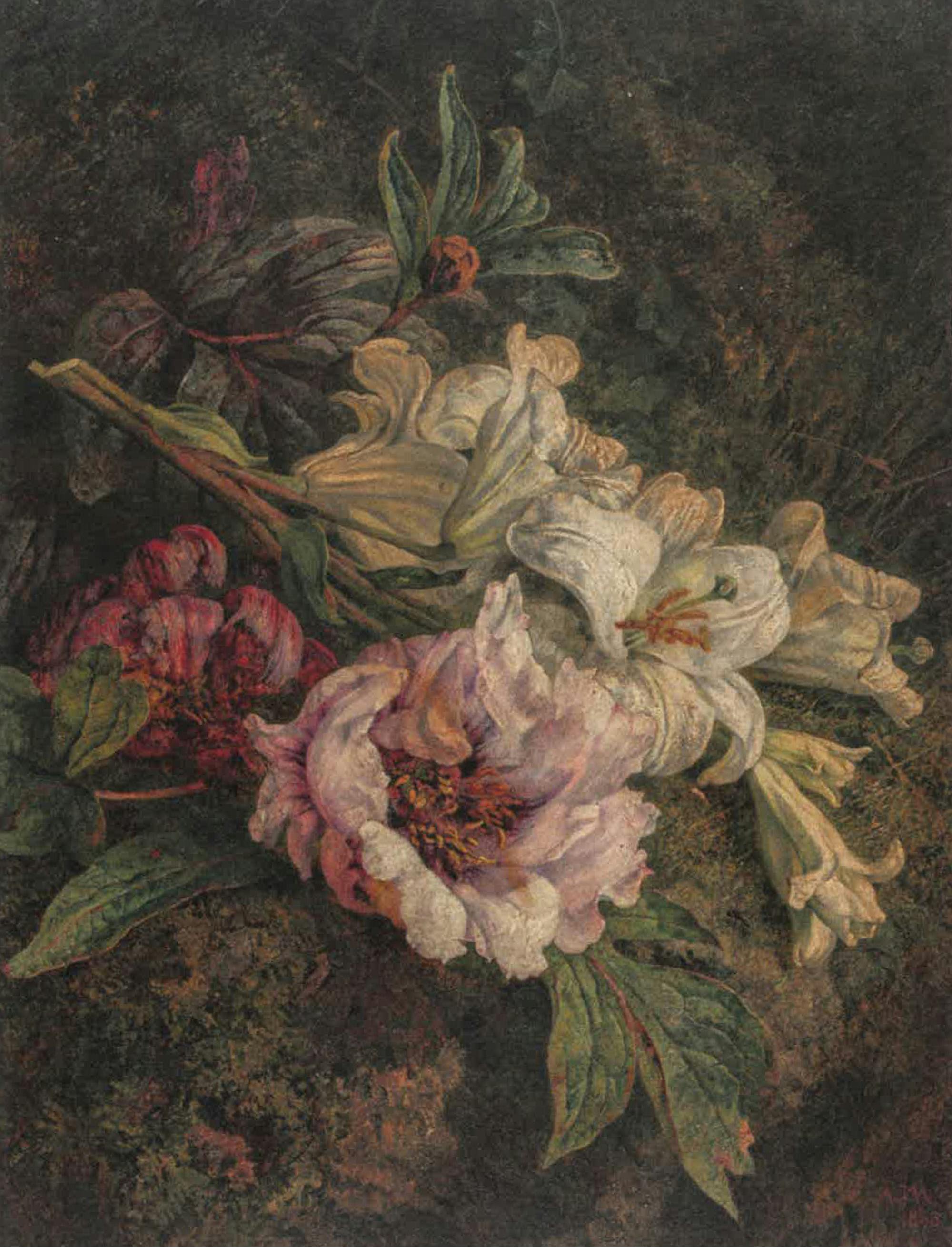 Slika cvetov različnih barv