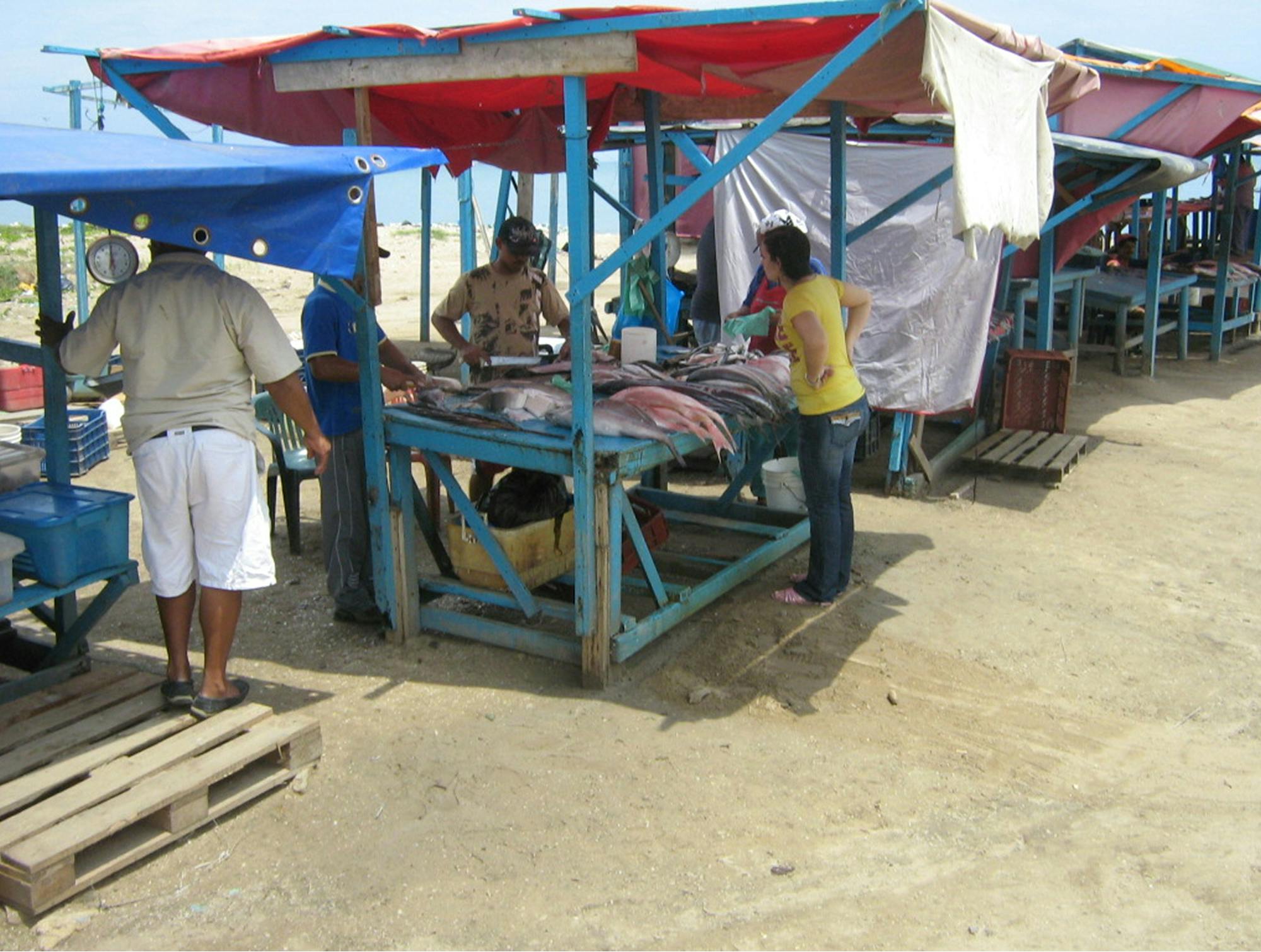 Stojnice z ribami na plaži