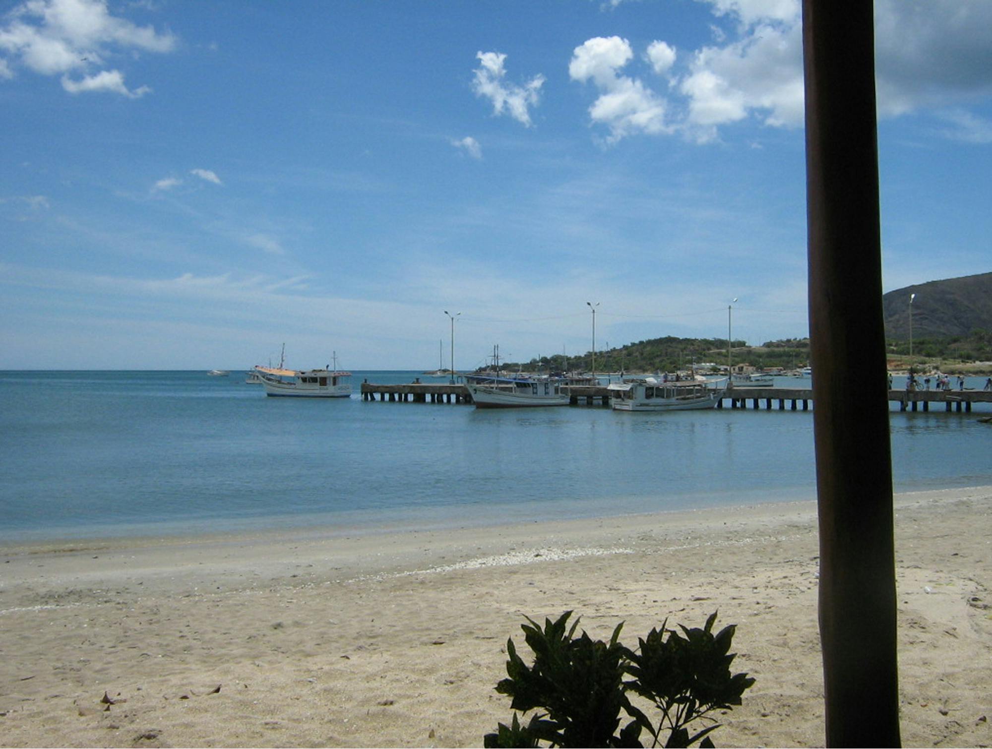 Obala in privezane ladje