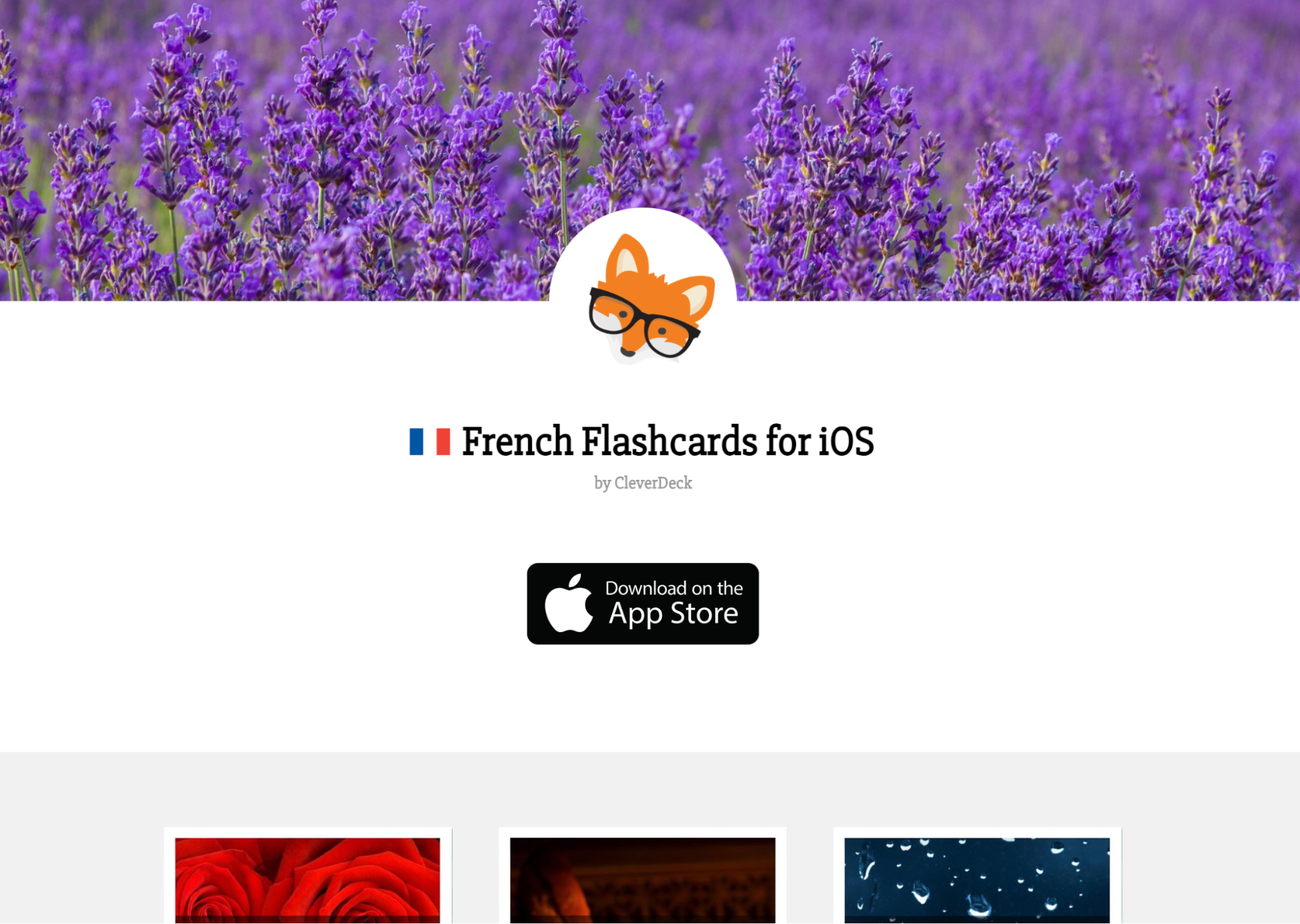 Language Learning Resources