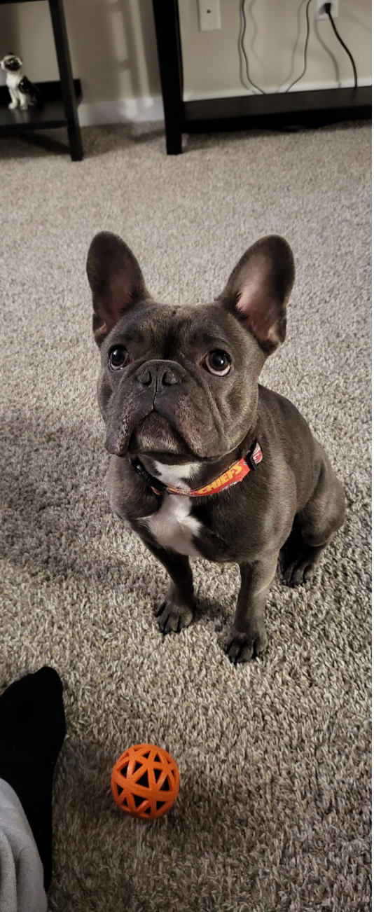 u/jambam4’ Little Tootin Biggie Smalls