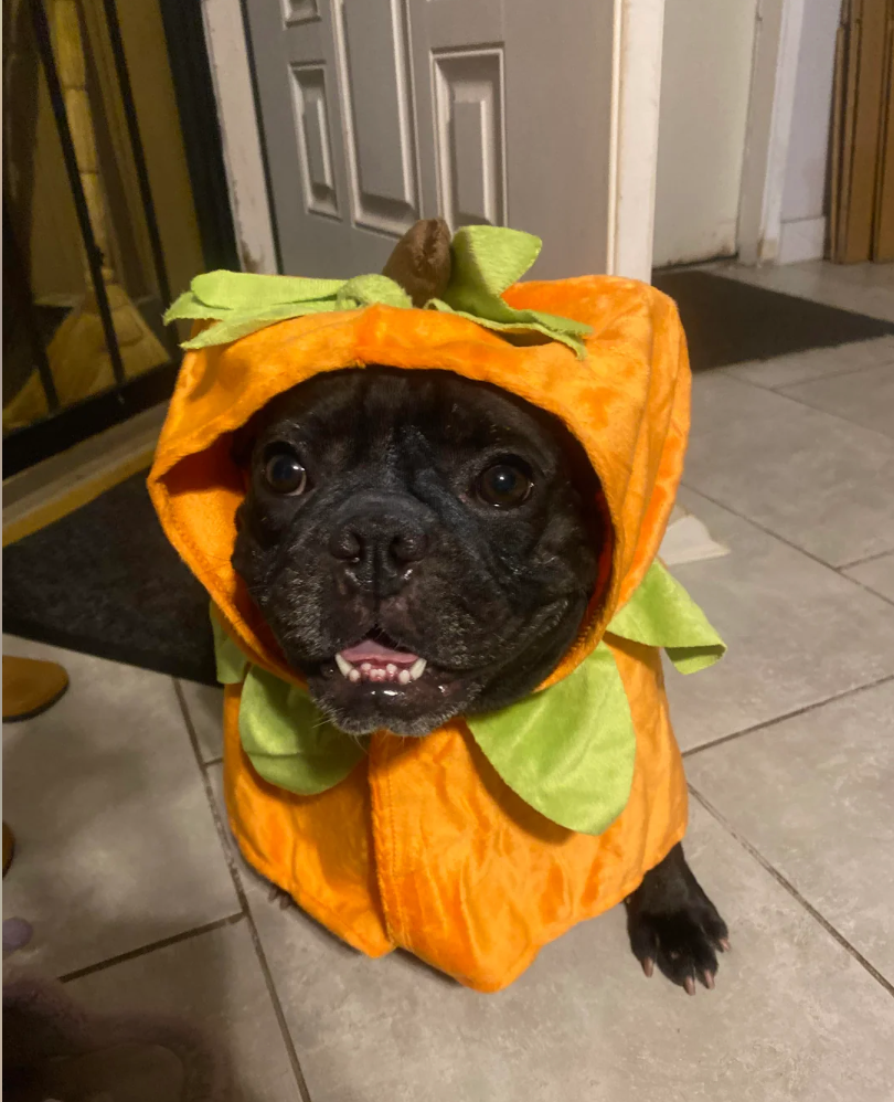 u/nowherebuthi98âs Momo Mama Mimi